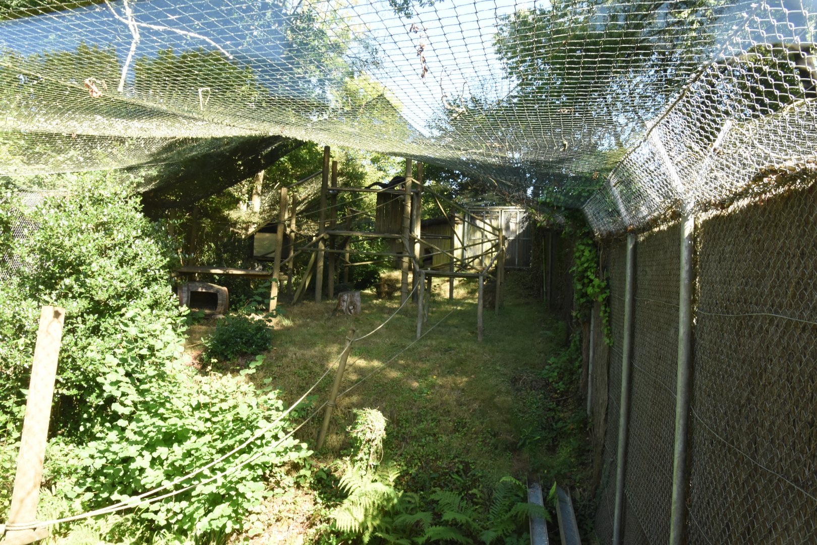 Binturong enclosure
