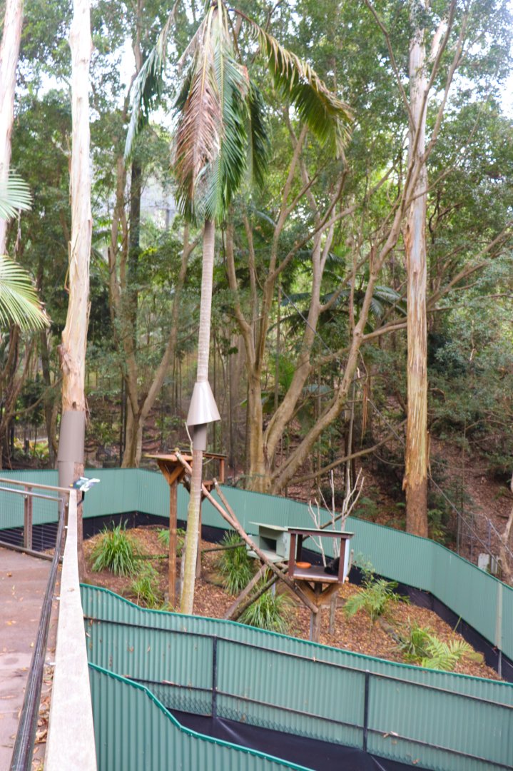 Binturong Enclosure