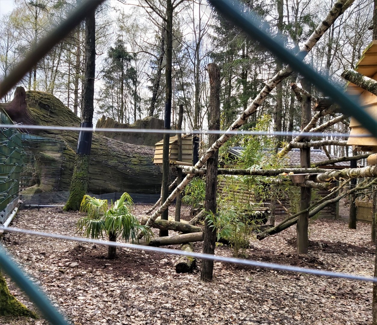 Binturong enclosure