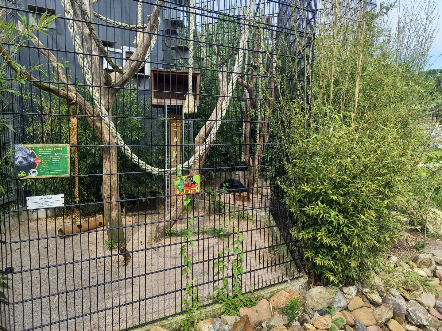 Binturong-enclosure