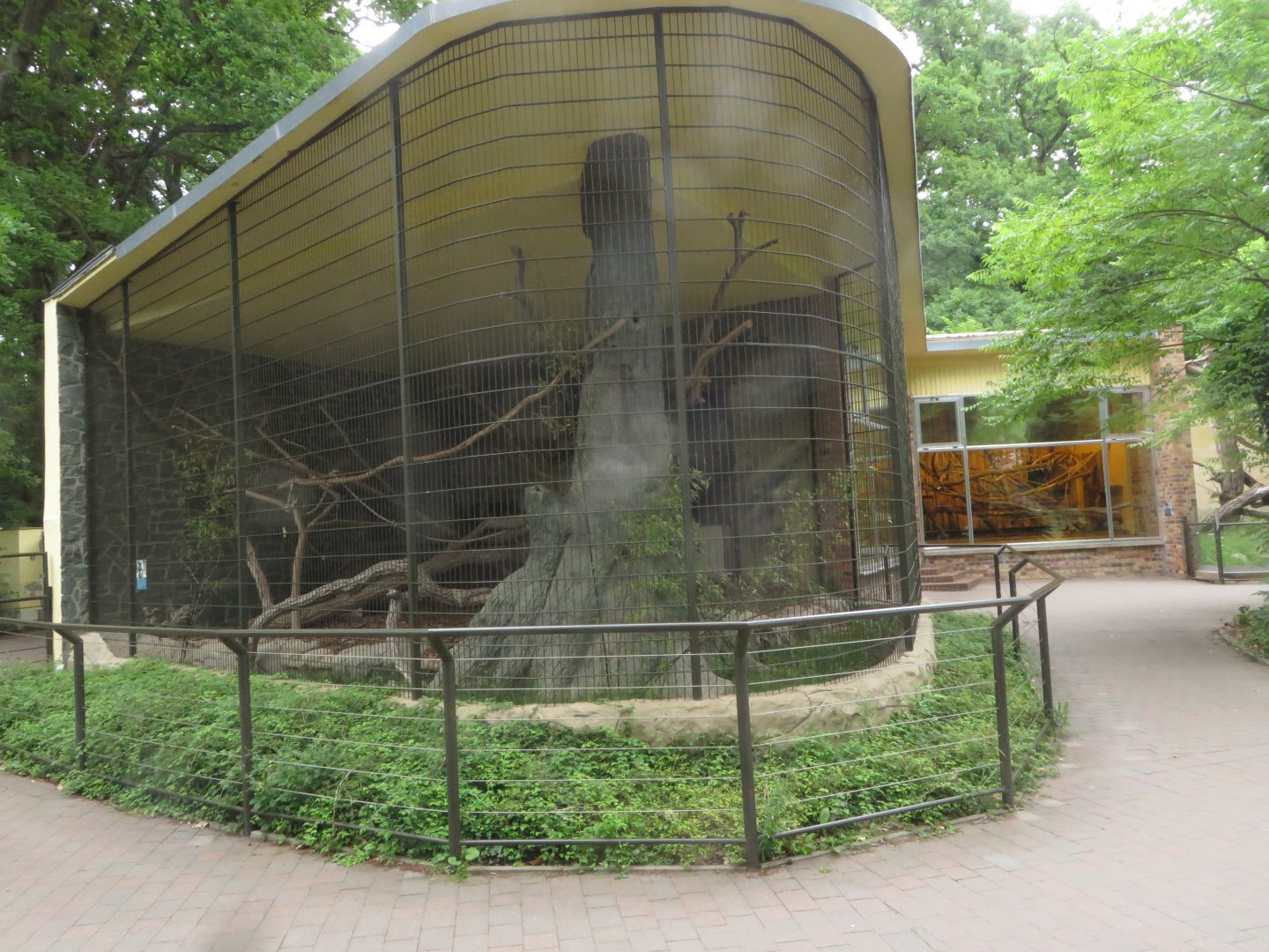 Binturong enclosure