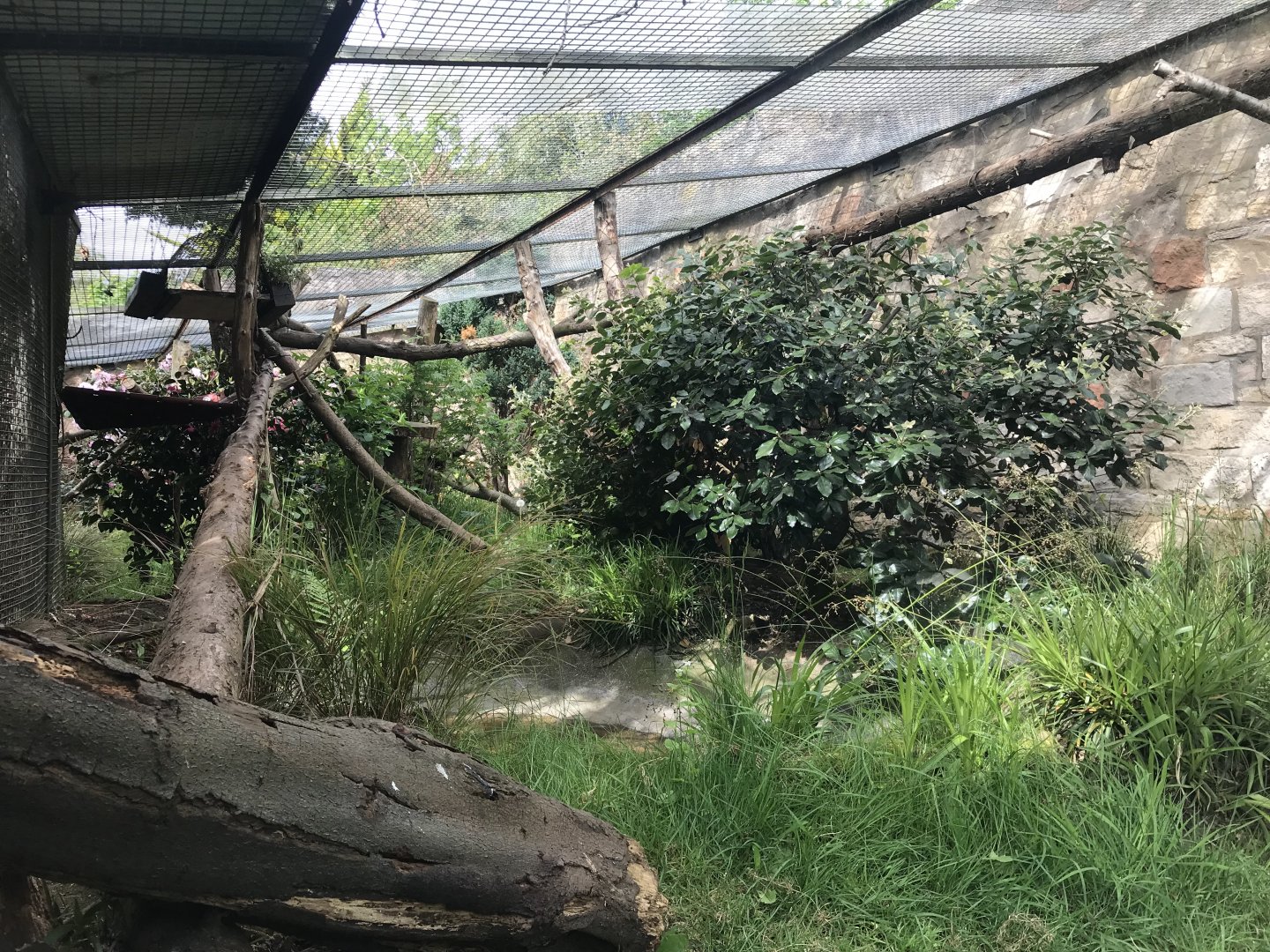 Binturong enclosure
