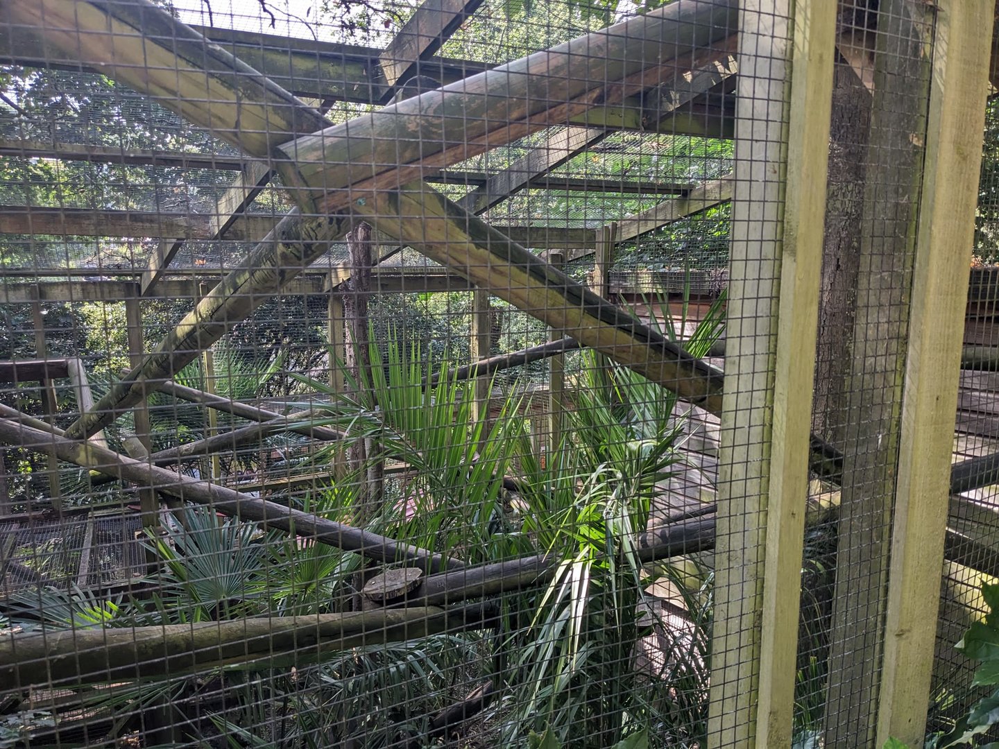 Binturong enclosure