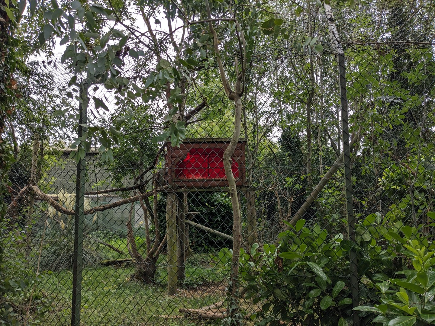 Binturong Enclosure