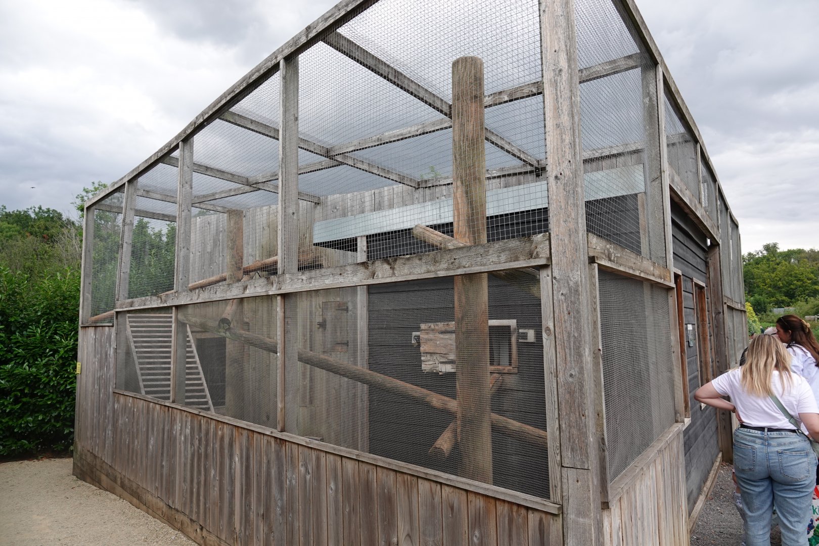 Binturong enclosure