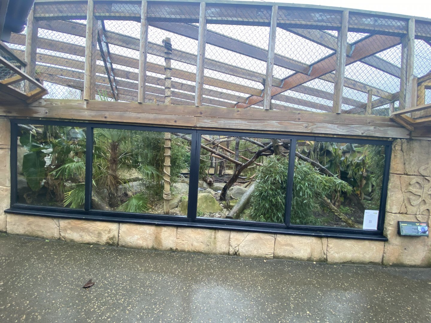 Binturong enclosure