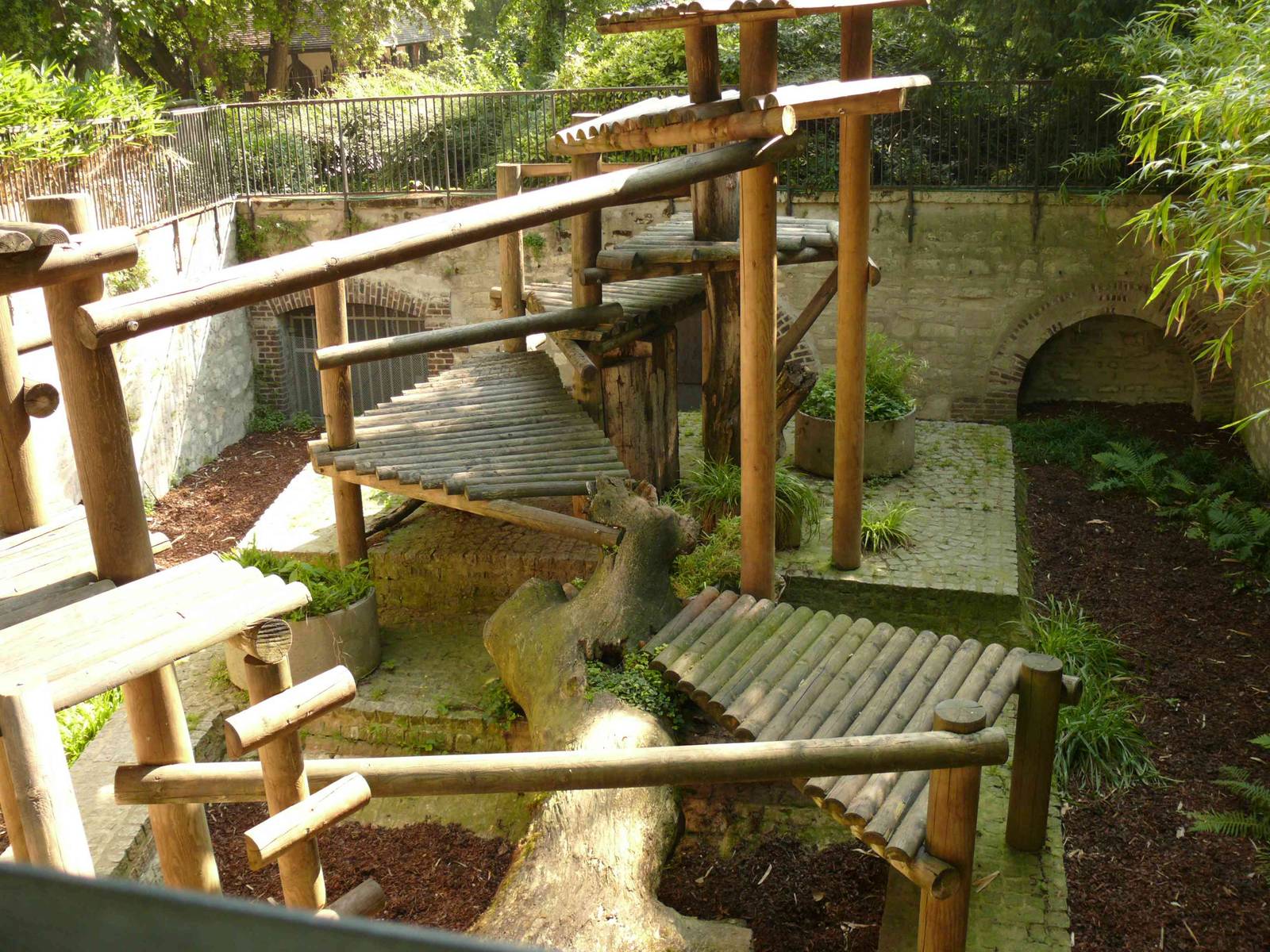 Binturong enclosure1