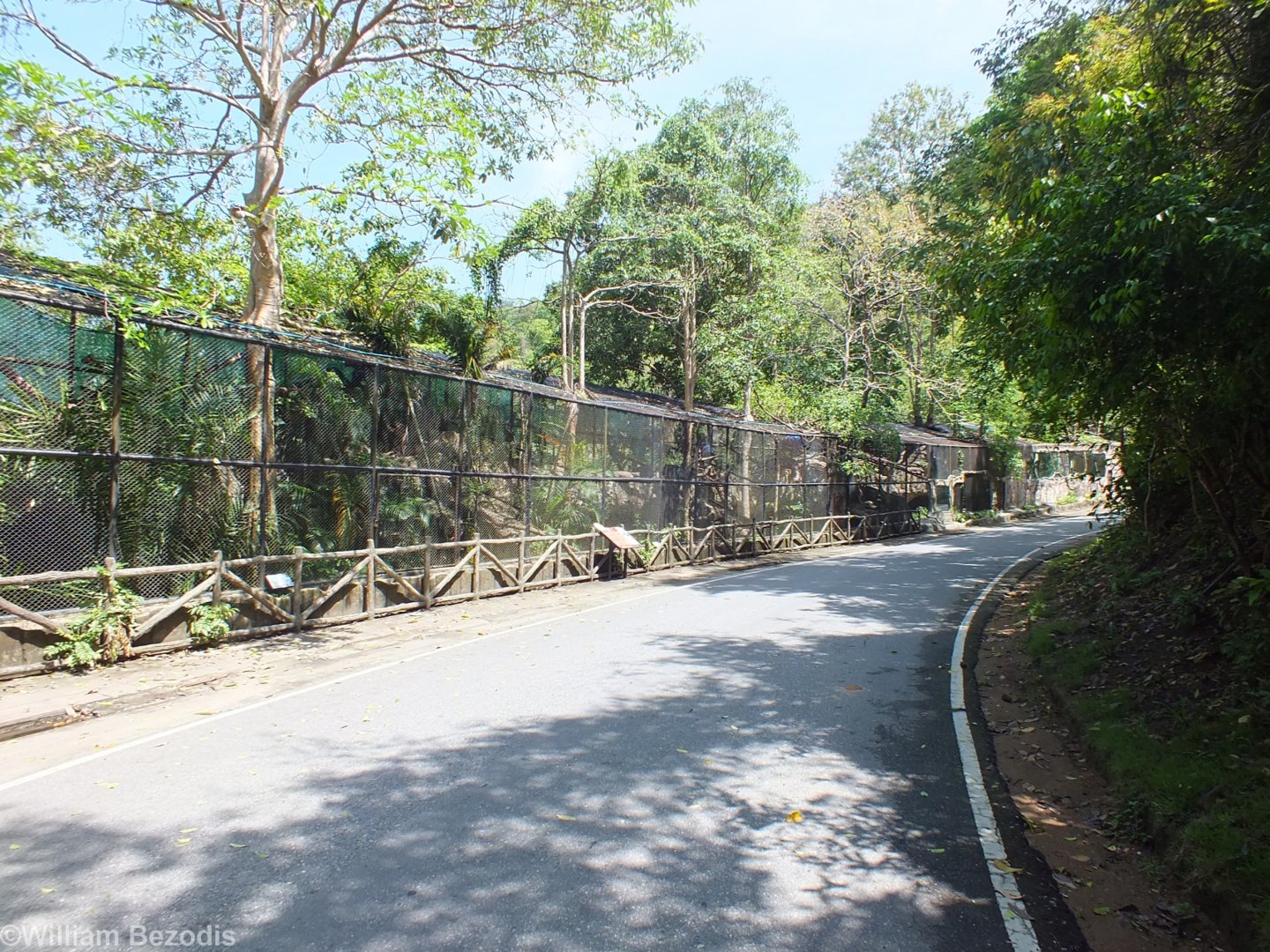 Binturong Enclosures