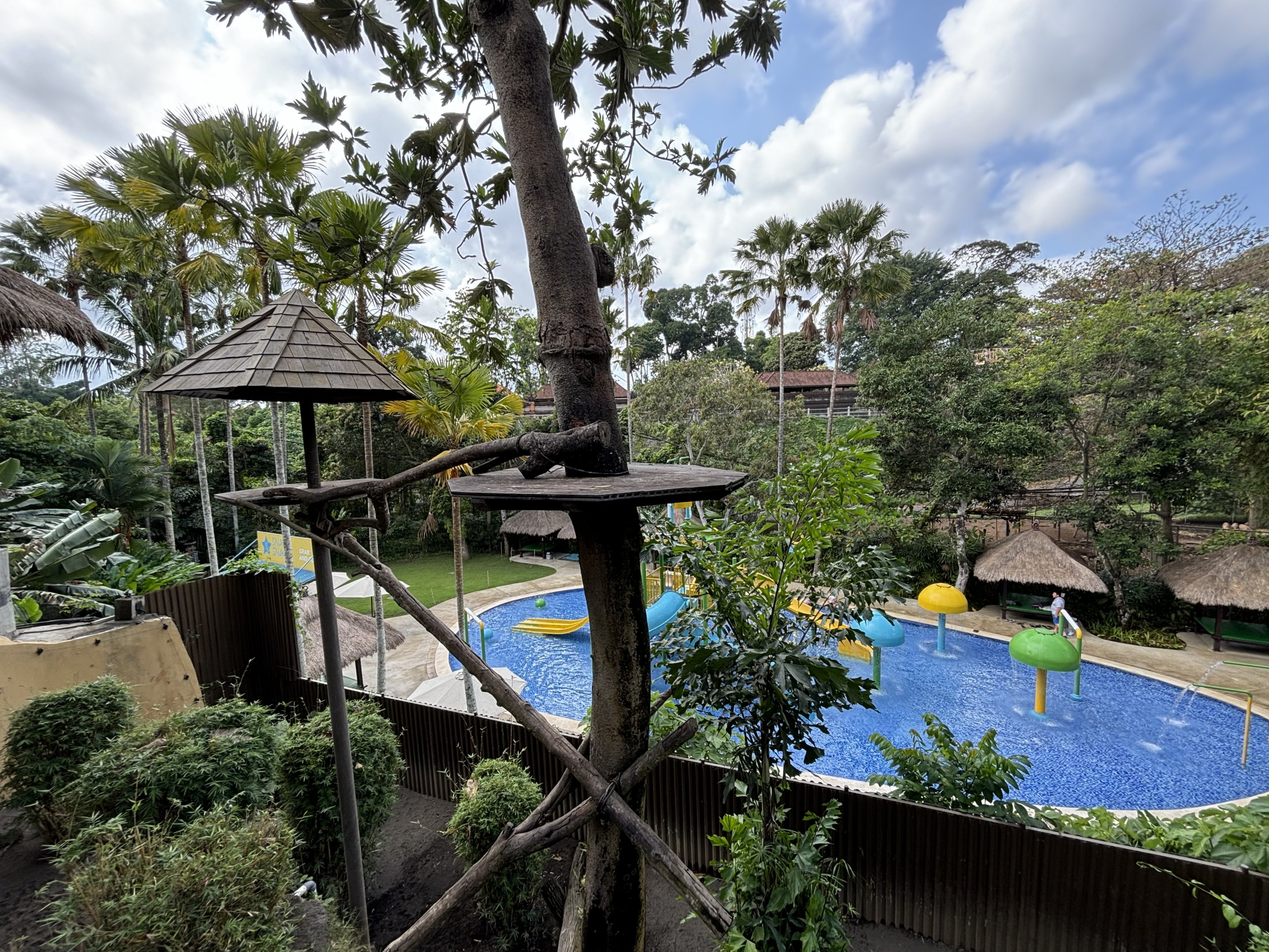 Binturong Exhibit #1 + Waterpark