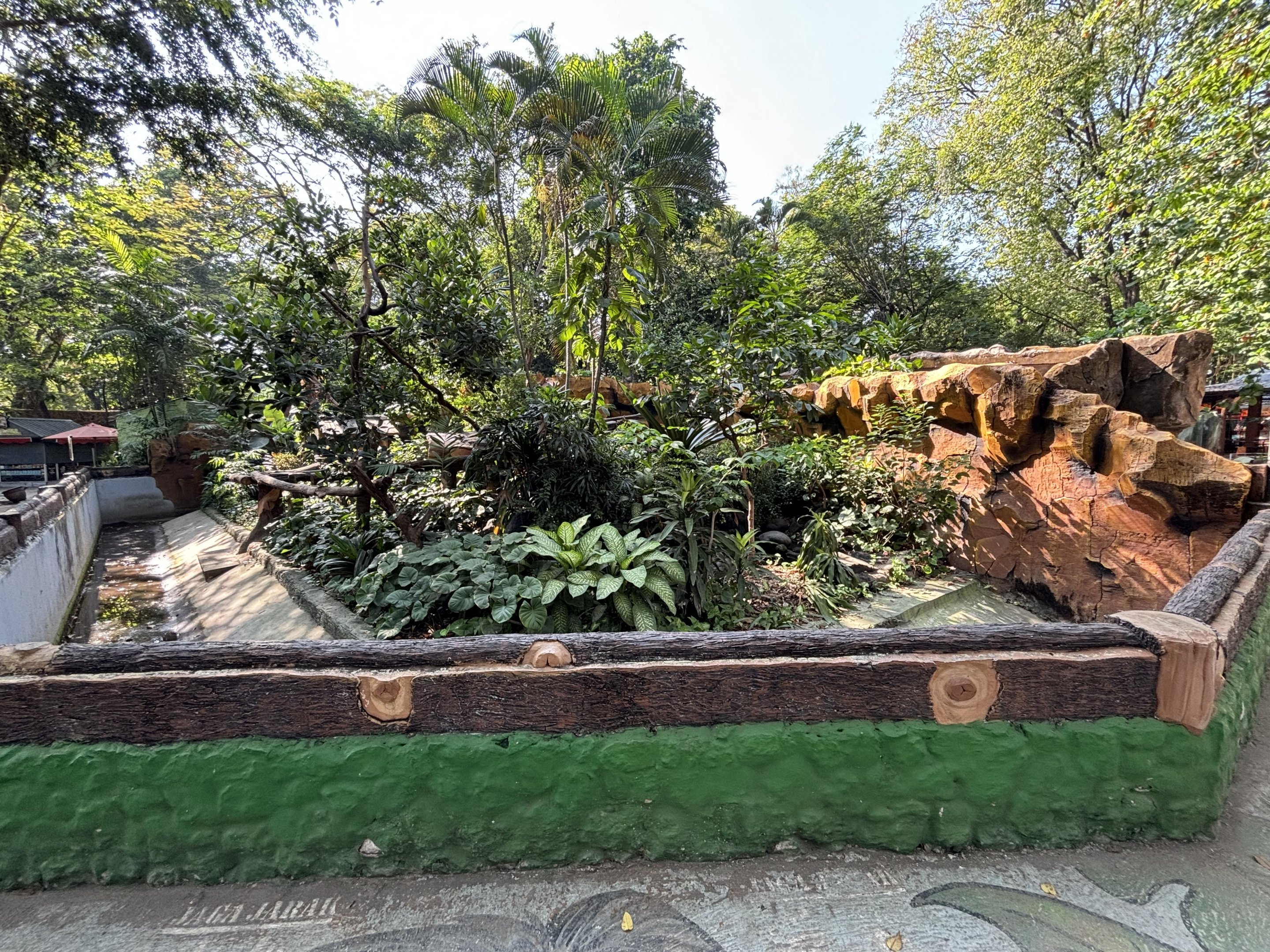 Binturong Exhibit #1