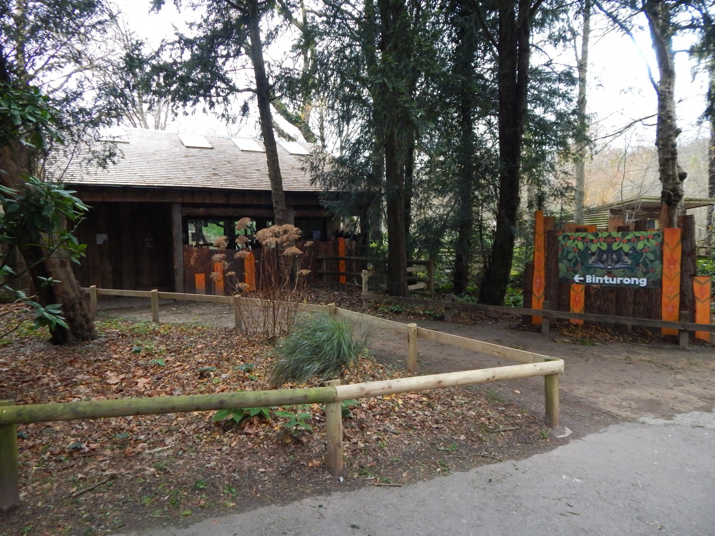 Binturong exhibit 111224