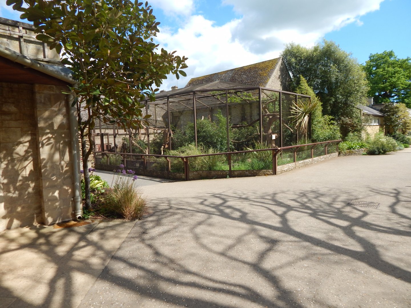 Binturong exhibit 150524