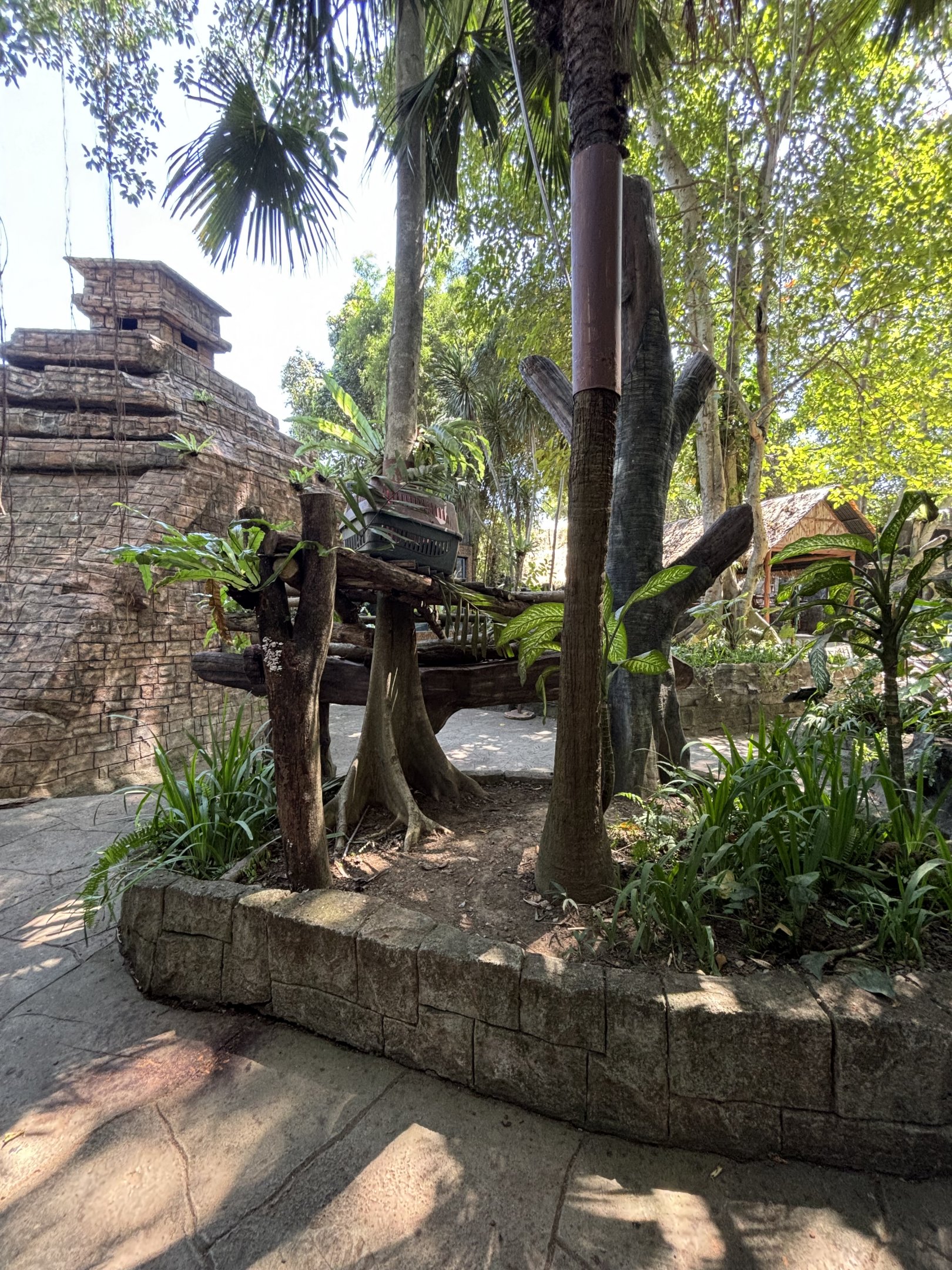 Binturong Exhibit #2 - zero barriers!