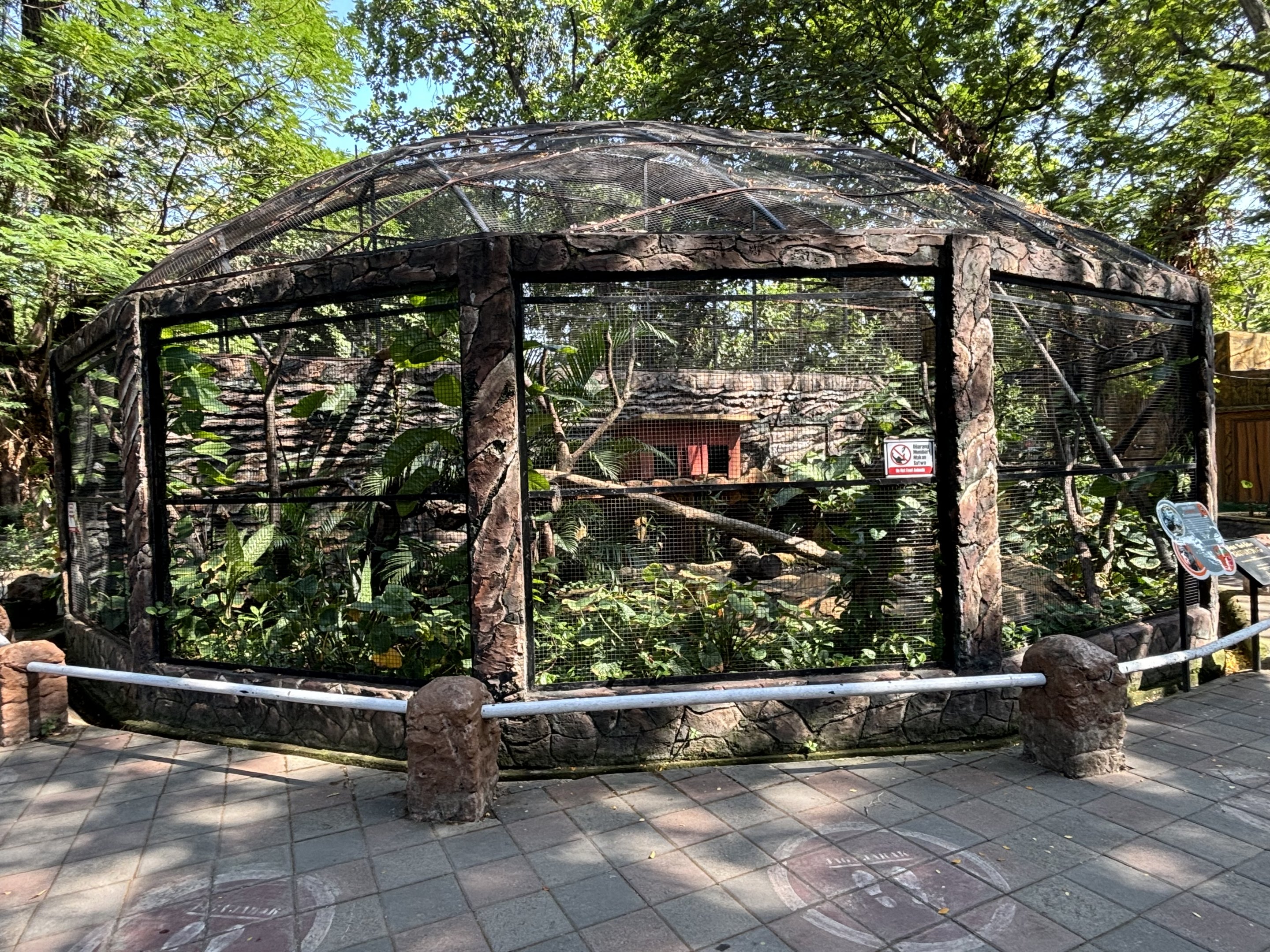 Binturong Exhibit #2