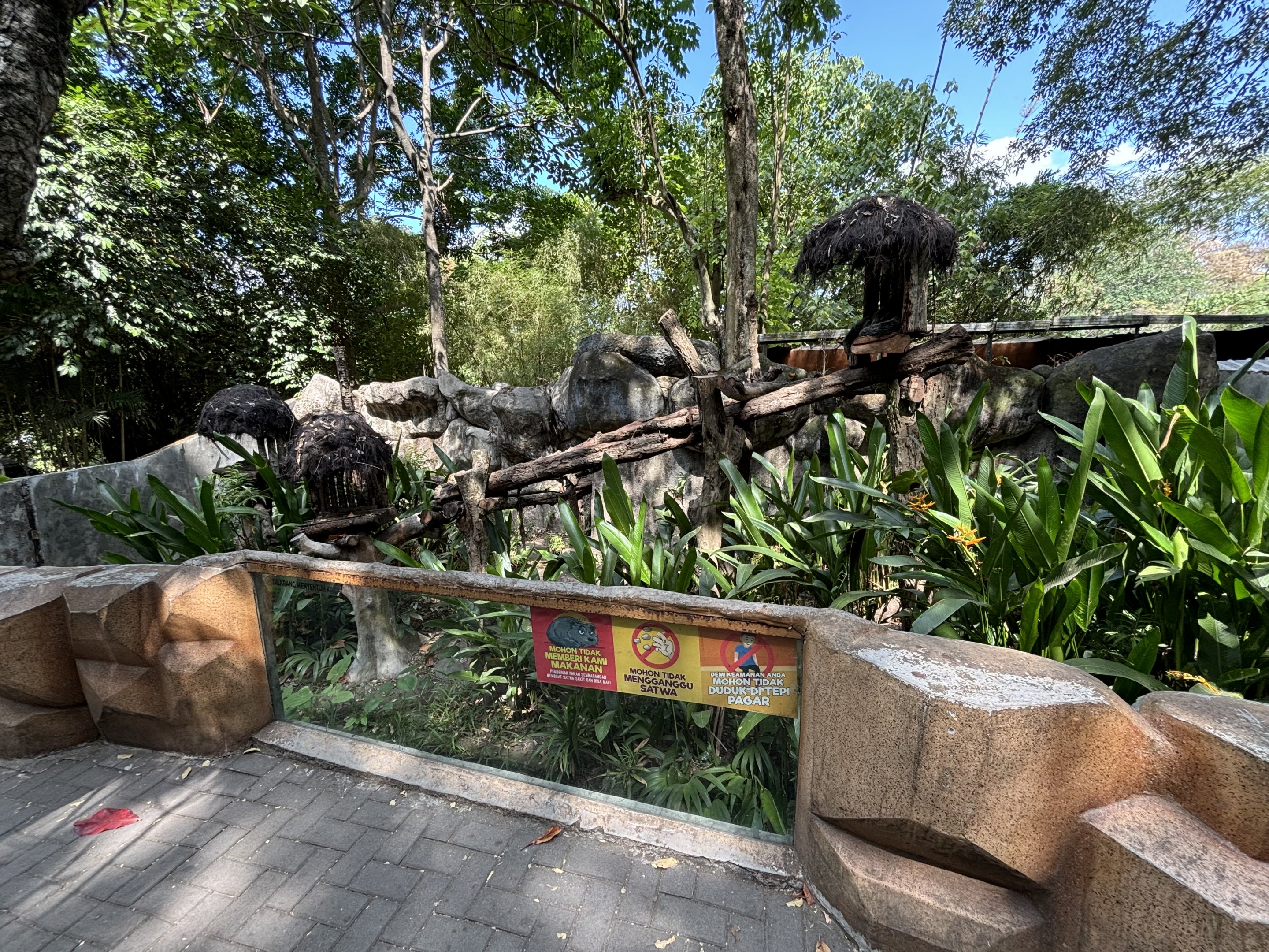 Binturong Exhibit #2