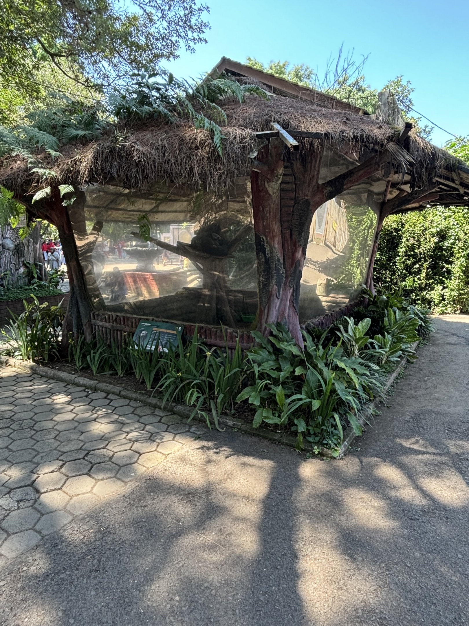 Binturong Exhibit #2