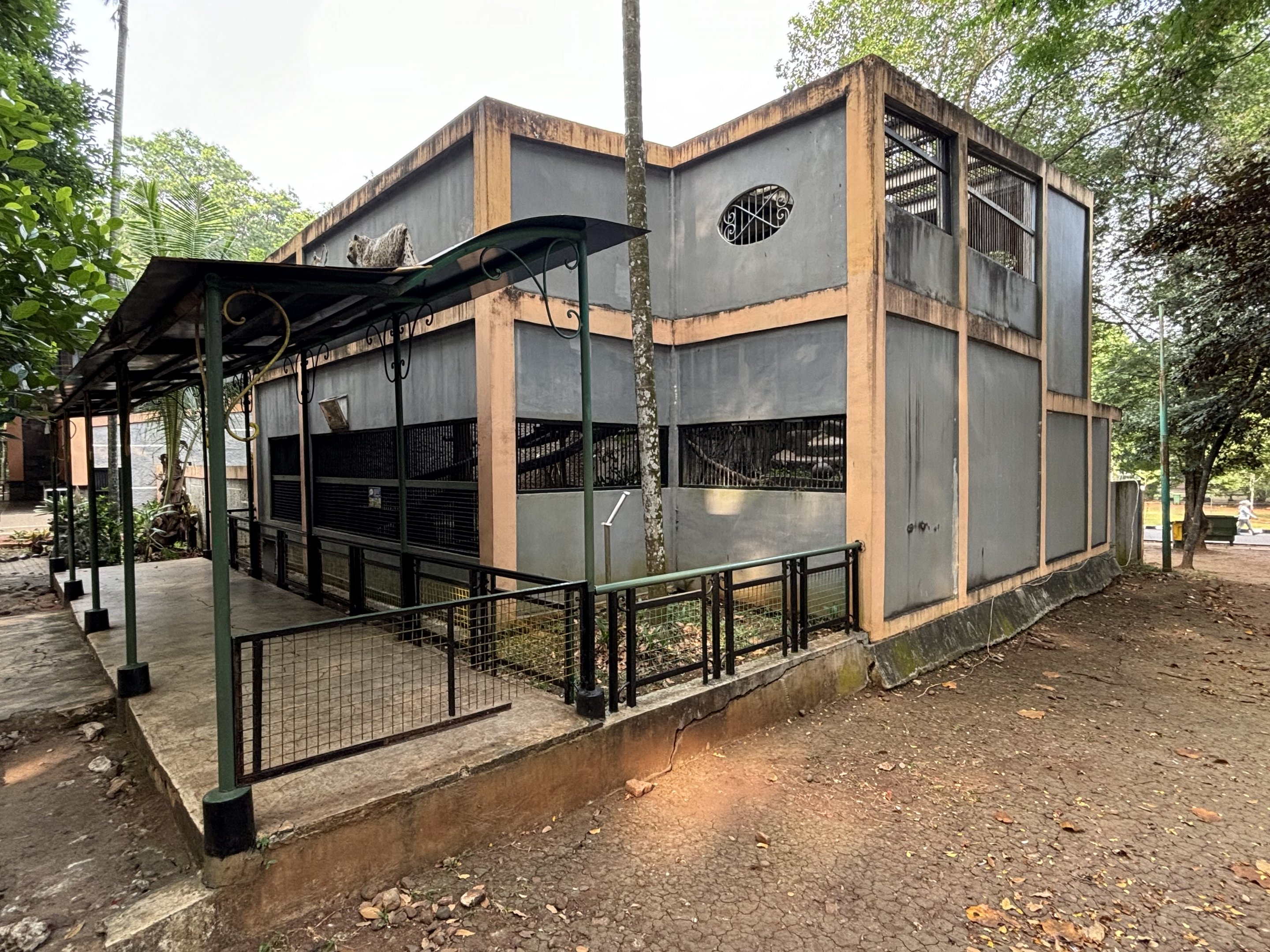 Binturong Exhibit #2