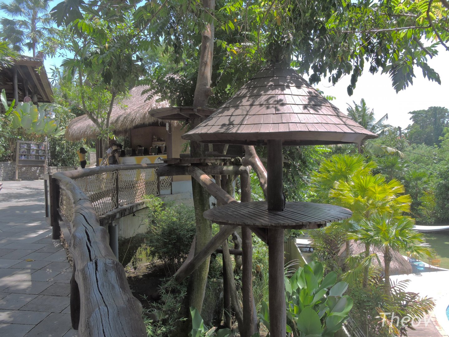 Binturong exhibit [2016]