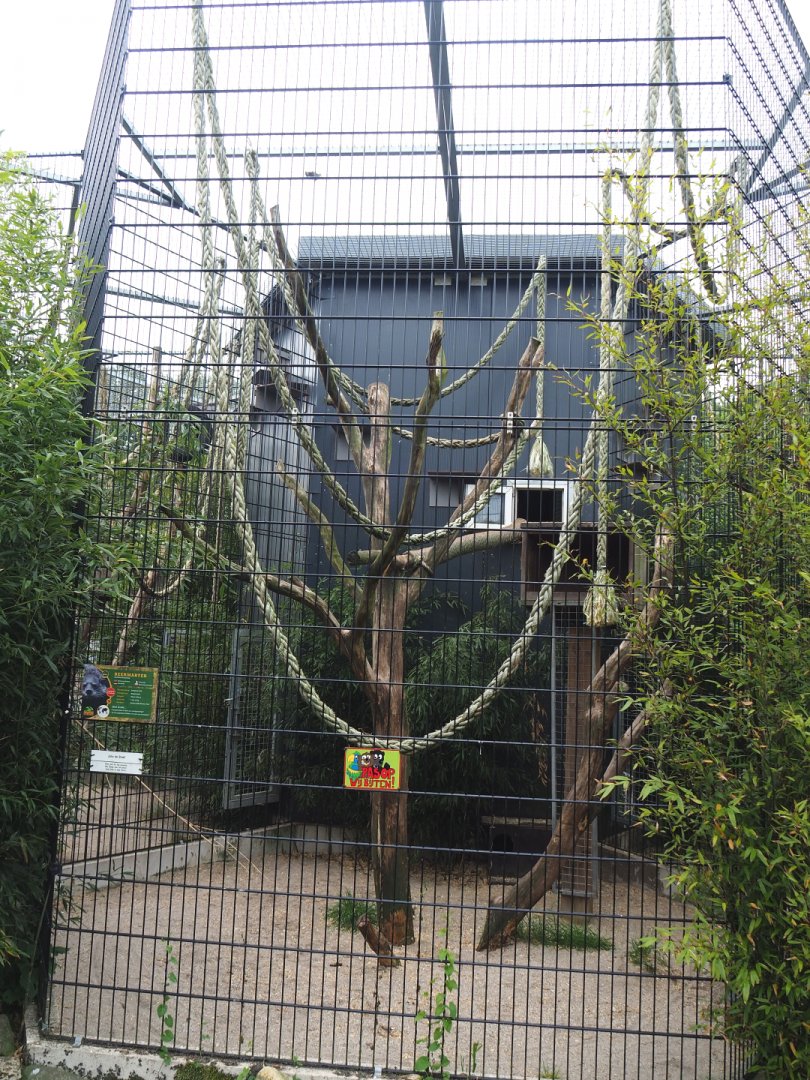Binturong exhibit, 2022-05-17