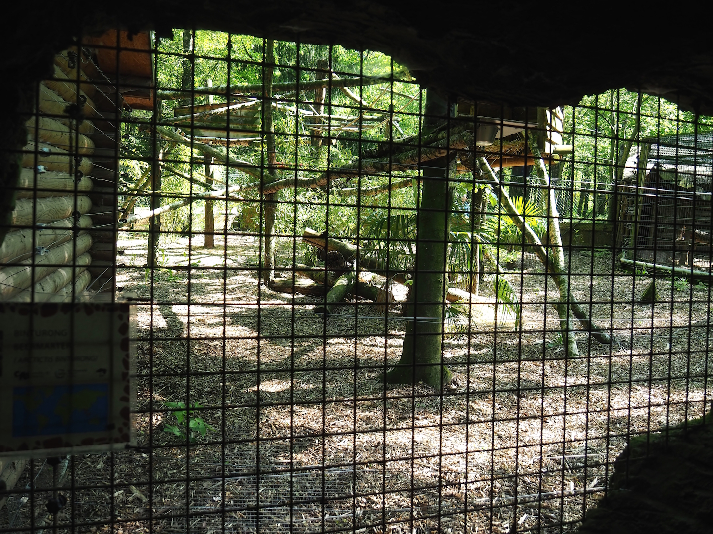 Binturong exhibit, 2023-05-19