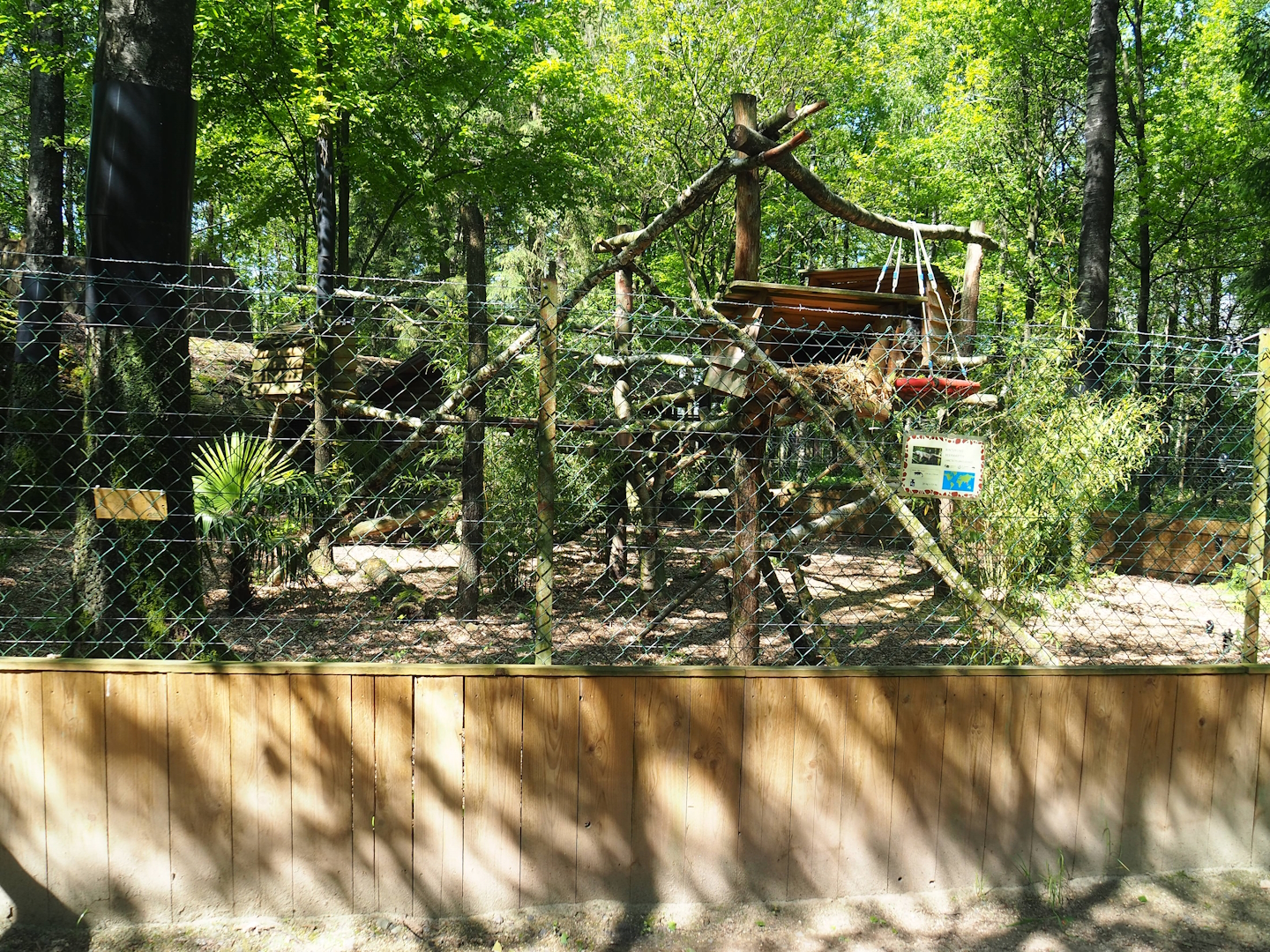 Binturong exhibit, 2023-05-19