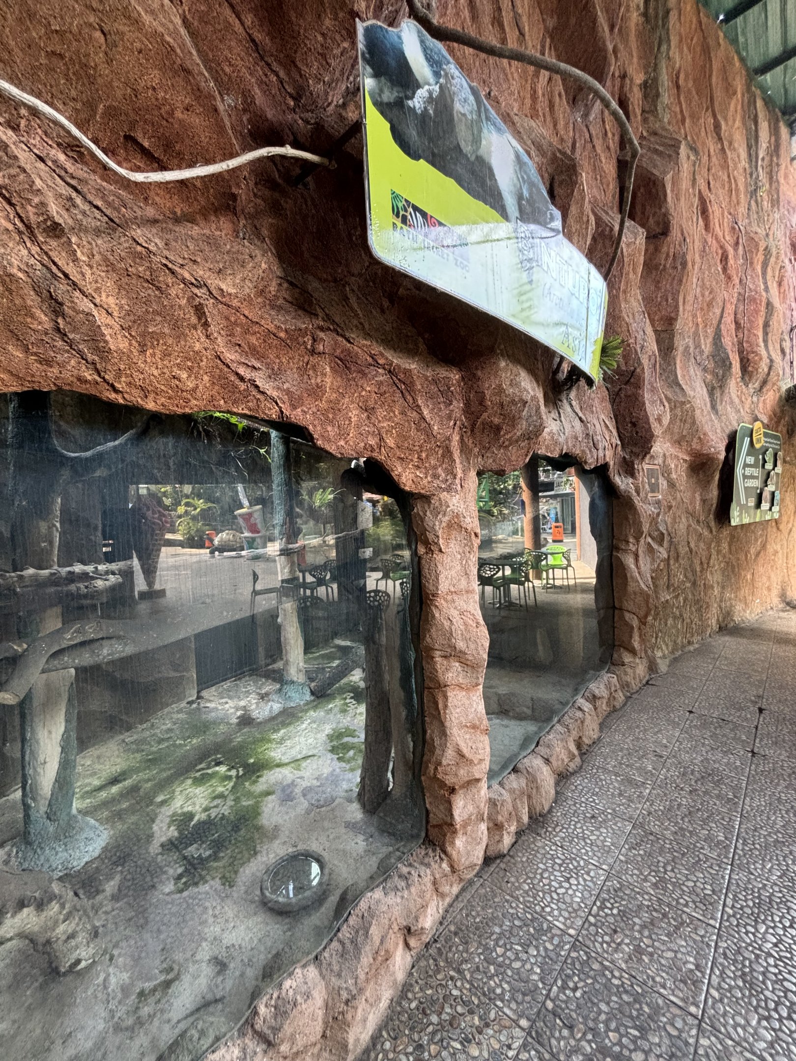 Binturong Exhibit #4