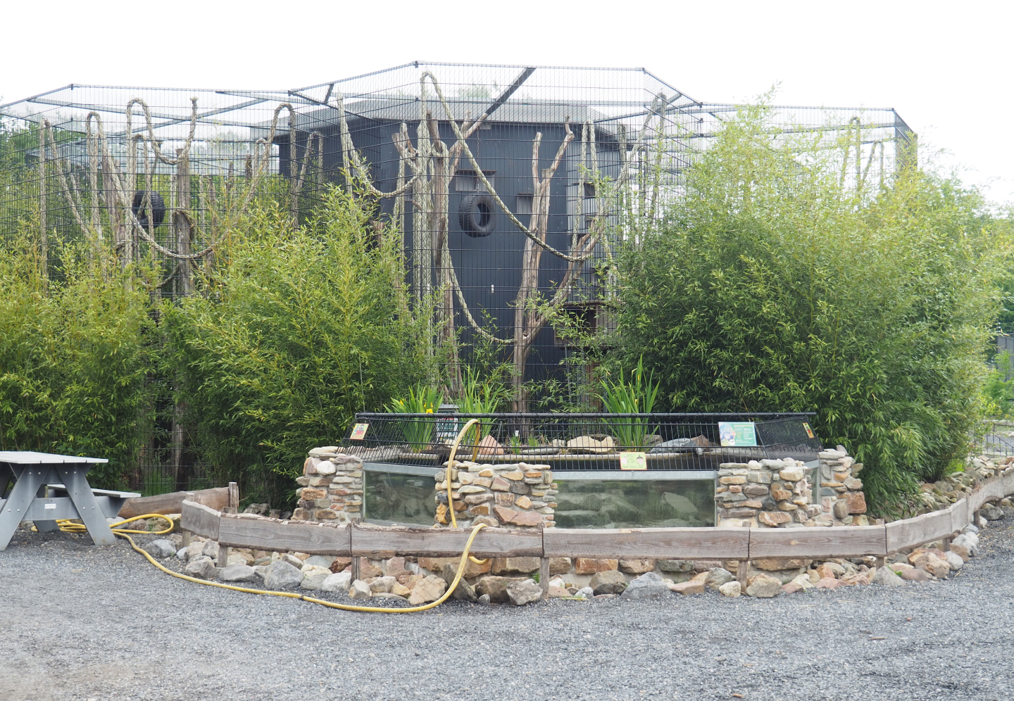 Binturong exhibit and Alligator snapping turtle pool undergoing maintenance, 2022-05-17