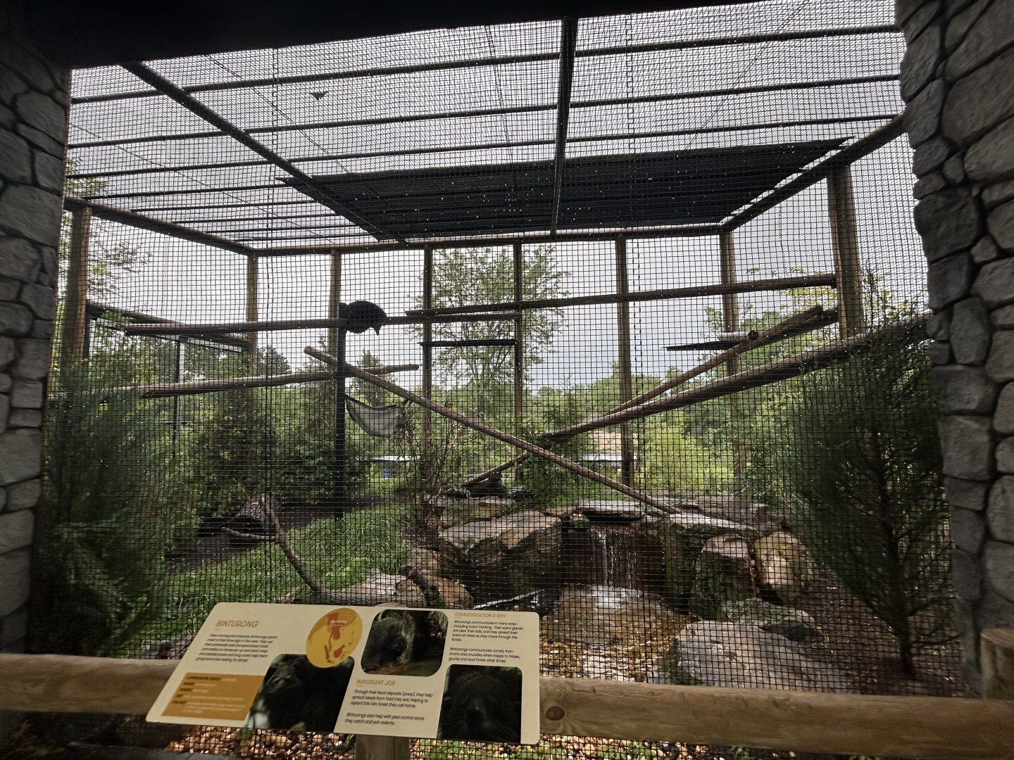 Binturong Exhibit - Asian Trek
