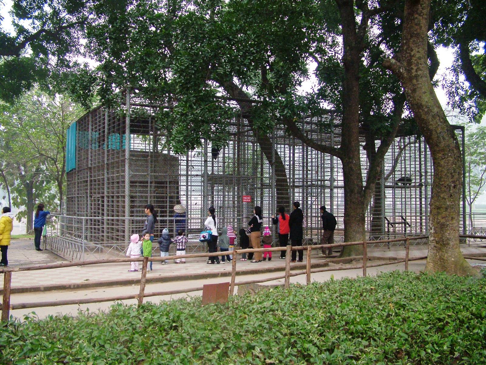 Binturong Exhibit at Hanoi Zoo, 15/03/12