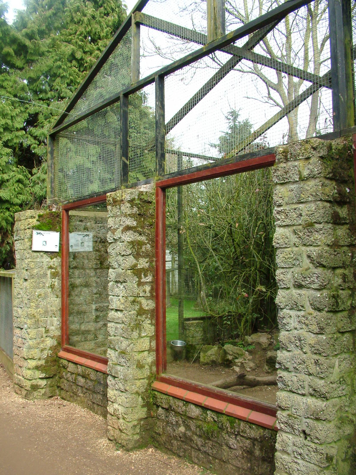 Binturong exhibit at Linton 05/04/10