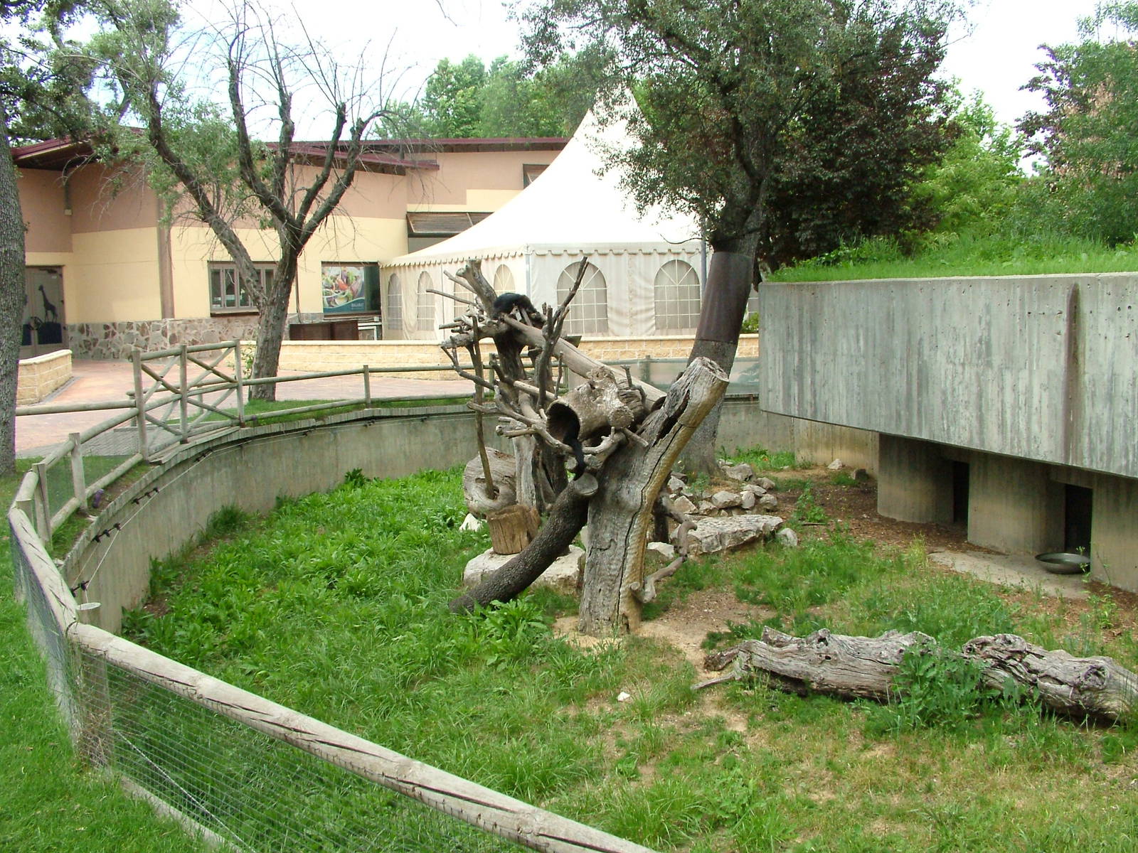 Binturong Exhibit at Madrid Zoo Aquarium, 26/05/11