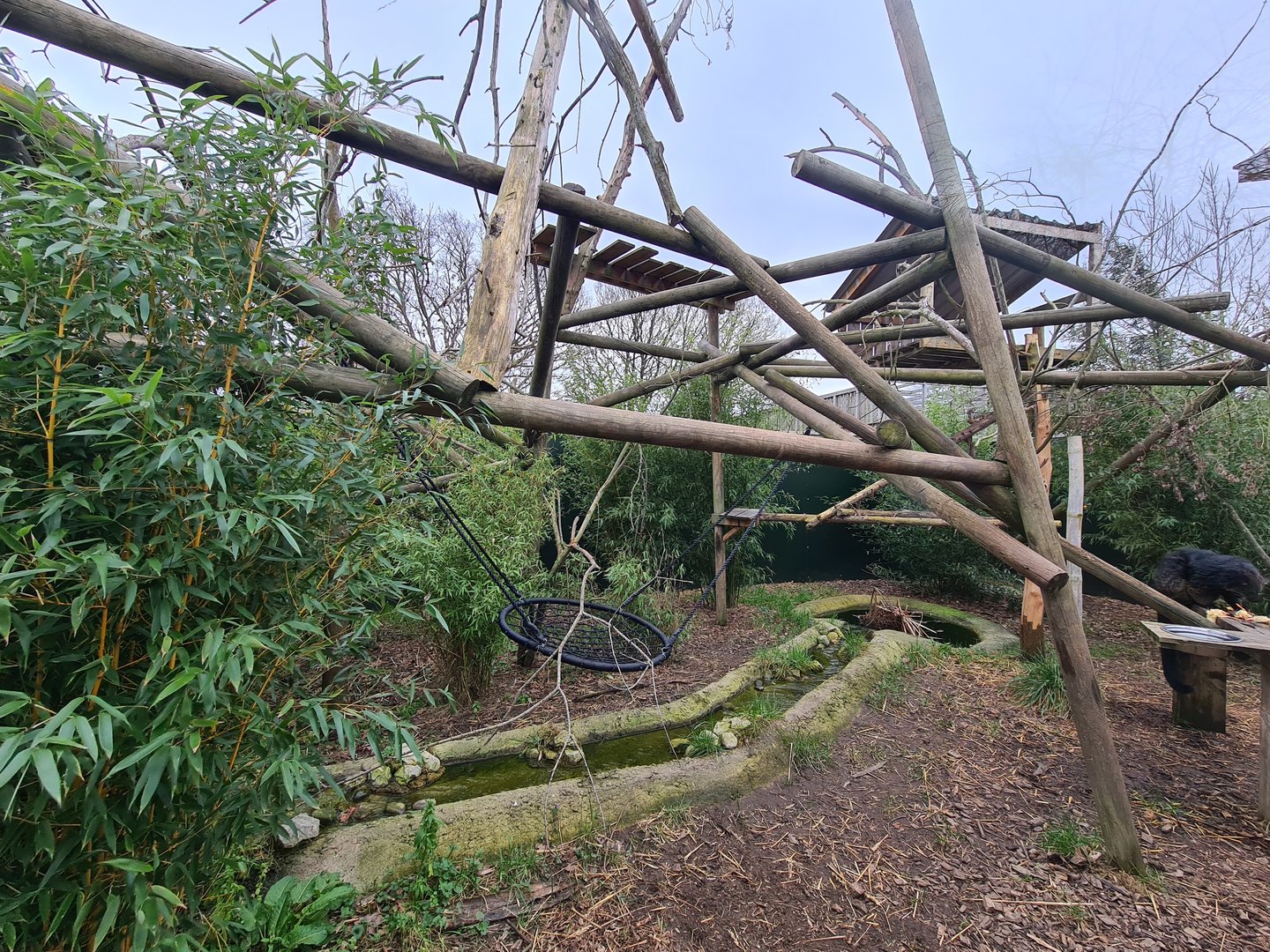 Binturong Exhibit, Fenn Bell