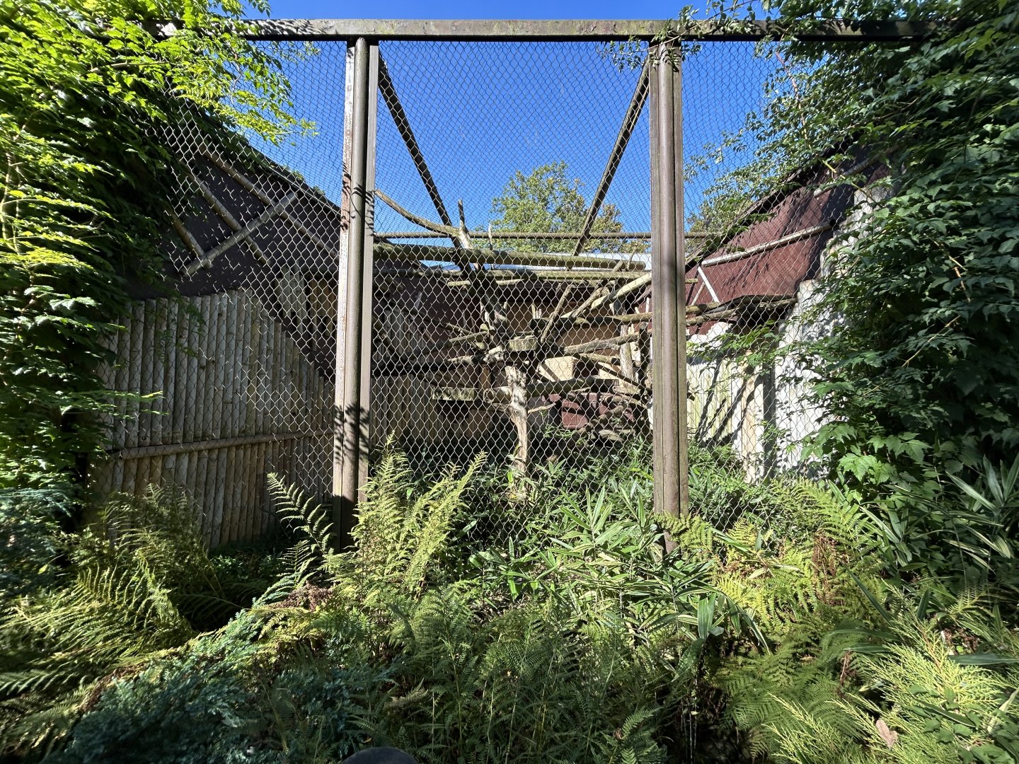 Binturong Exhibit - Indian Carnivores House