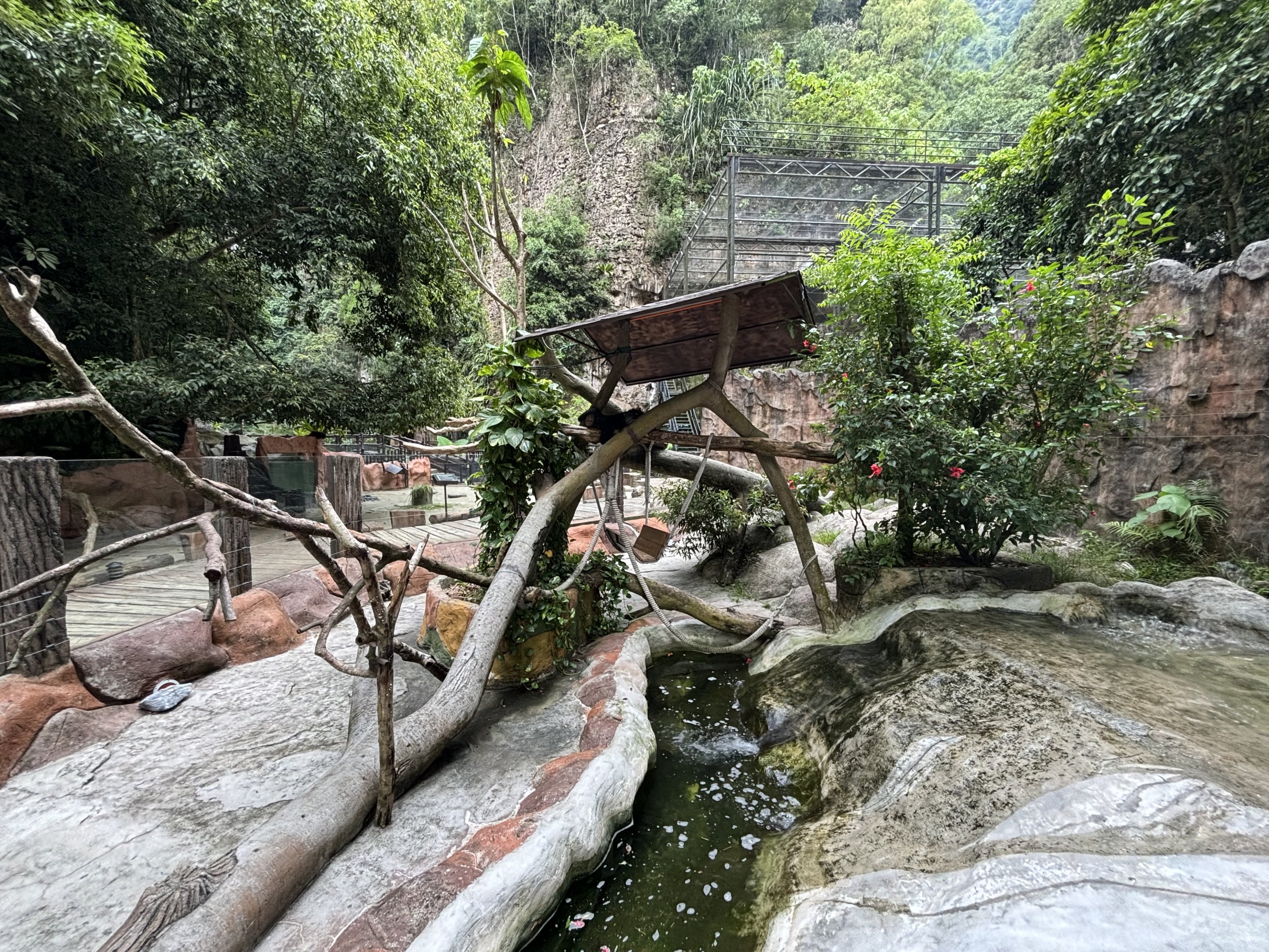 Binturong Exhibit - Lost World of Tambun