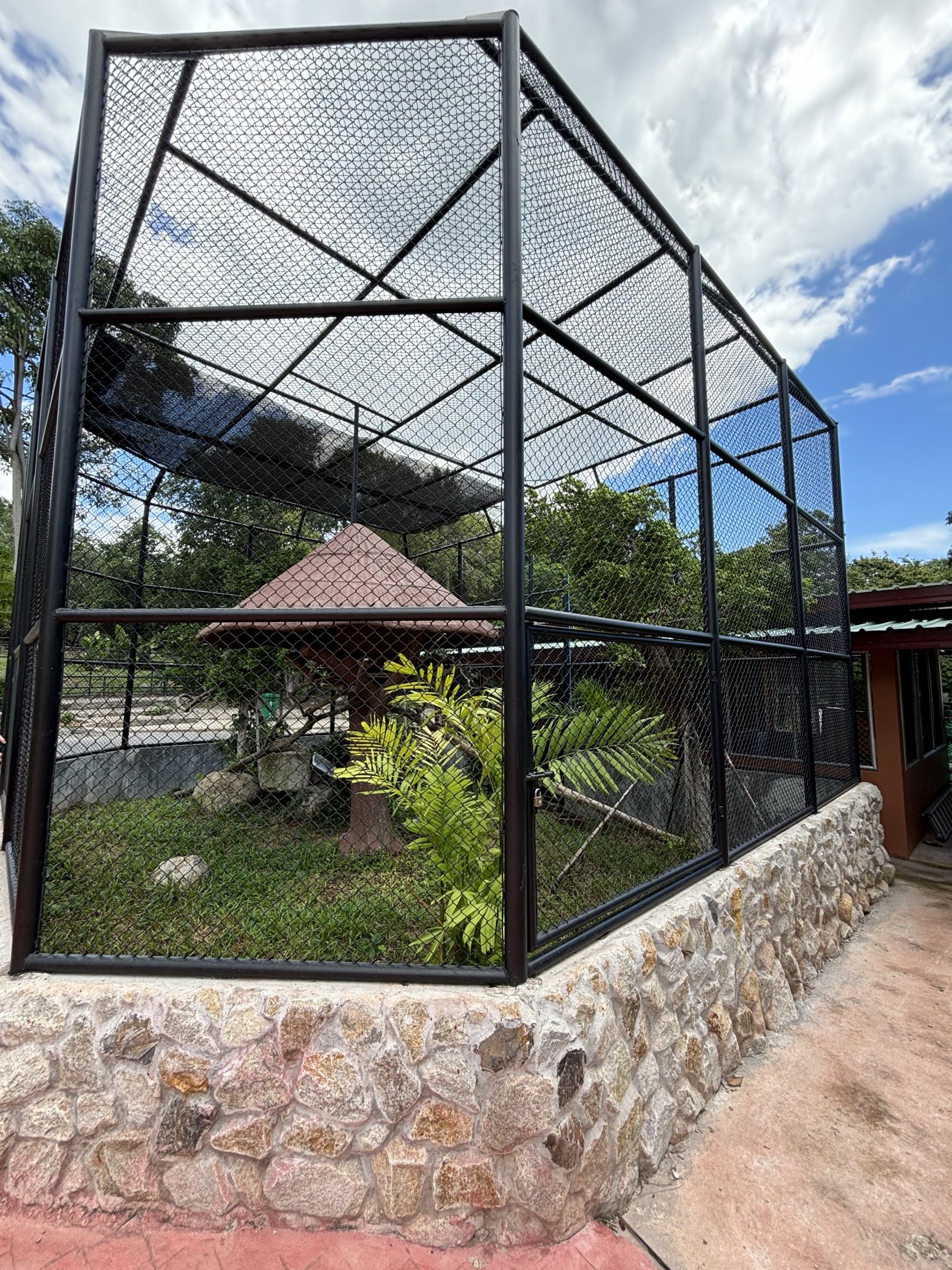 Binturong Exhibit (New in 2024)