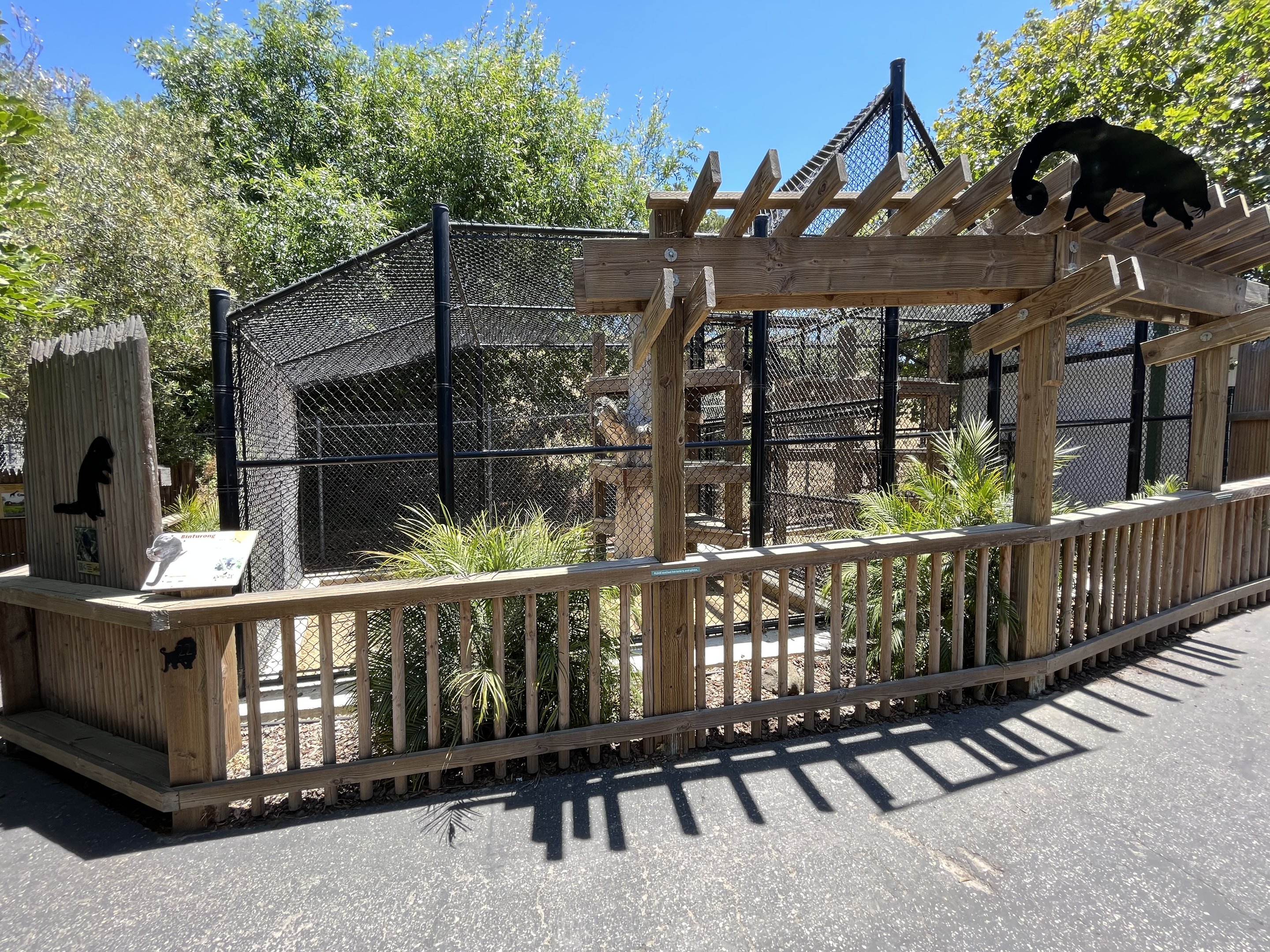 Binturong Exhibit - New