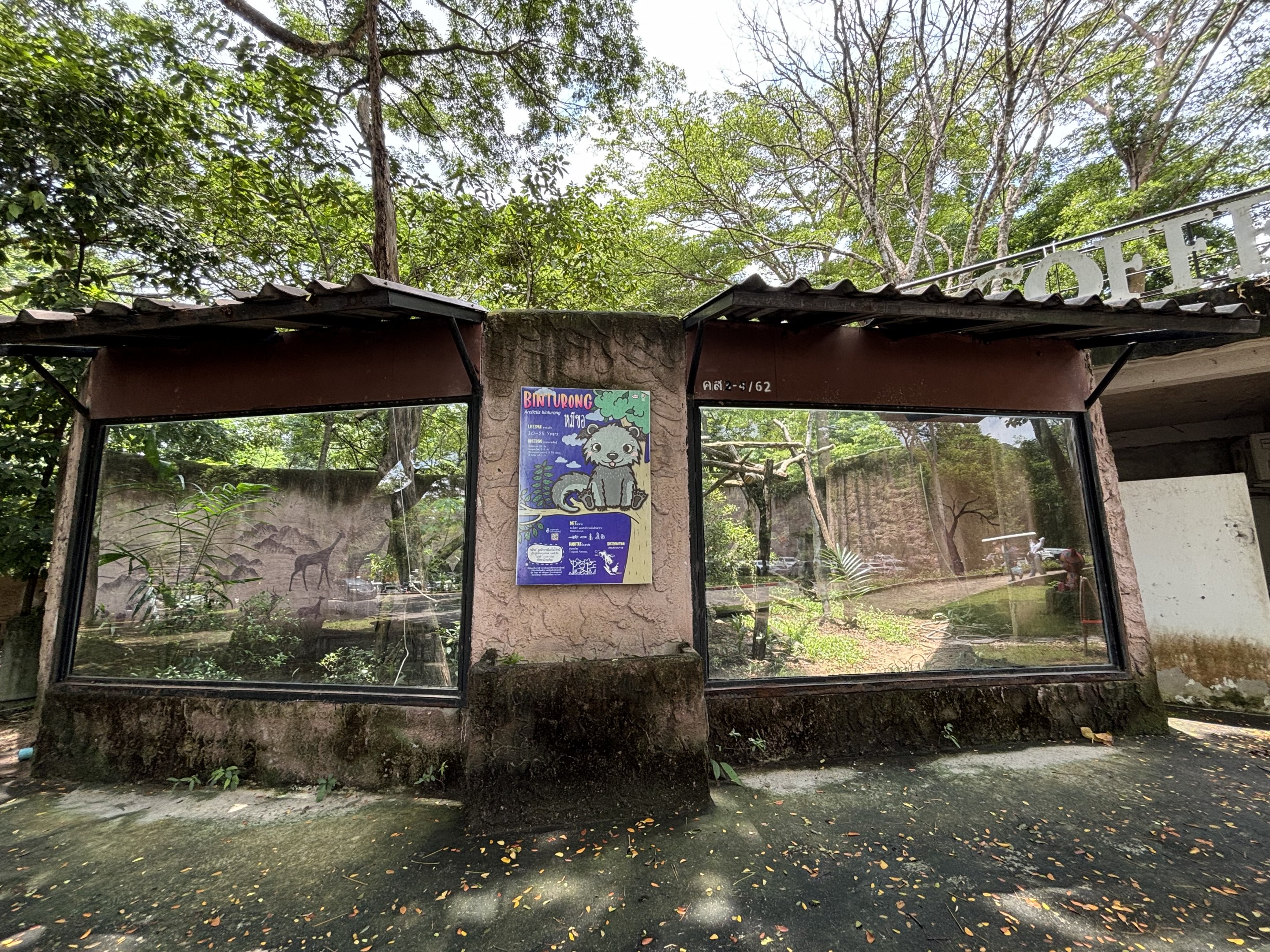 Binturong Exhibit (one of many)