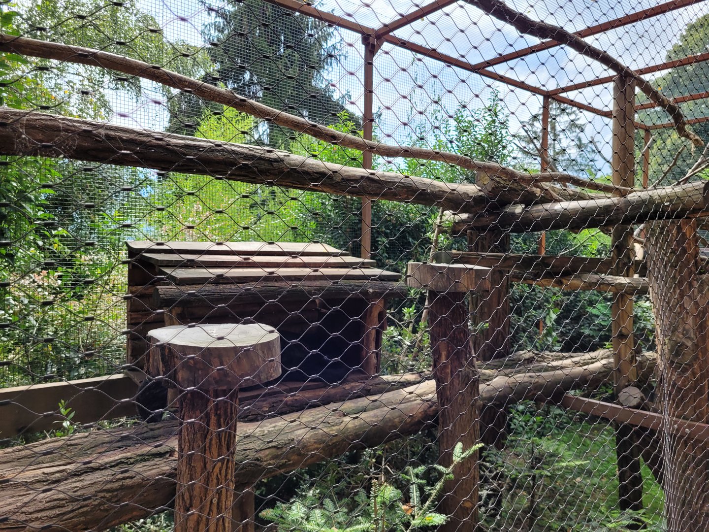 Binturong exhibit -Parc Animalier des Pyrénées (2023)