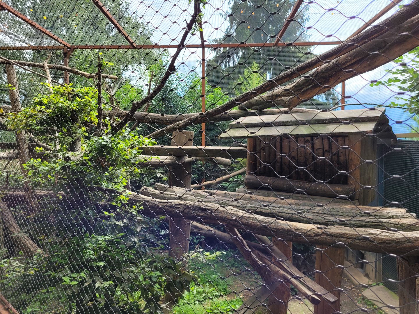 Binturong exhibit -Parc Animalier des Pyrénées (2023)
