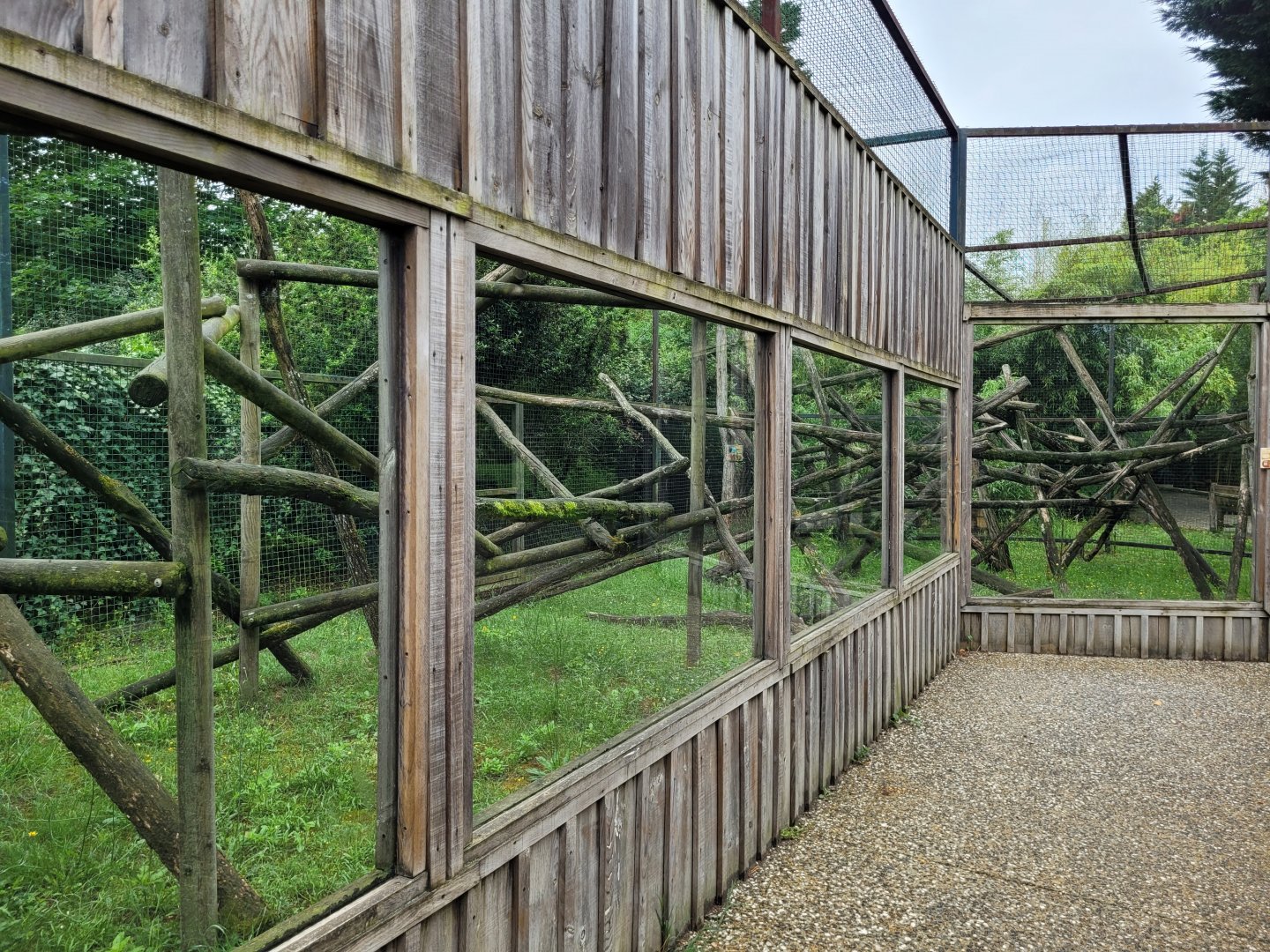 Binturong exhibit -Zoo du bassin d'Arcachon (2024)