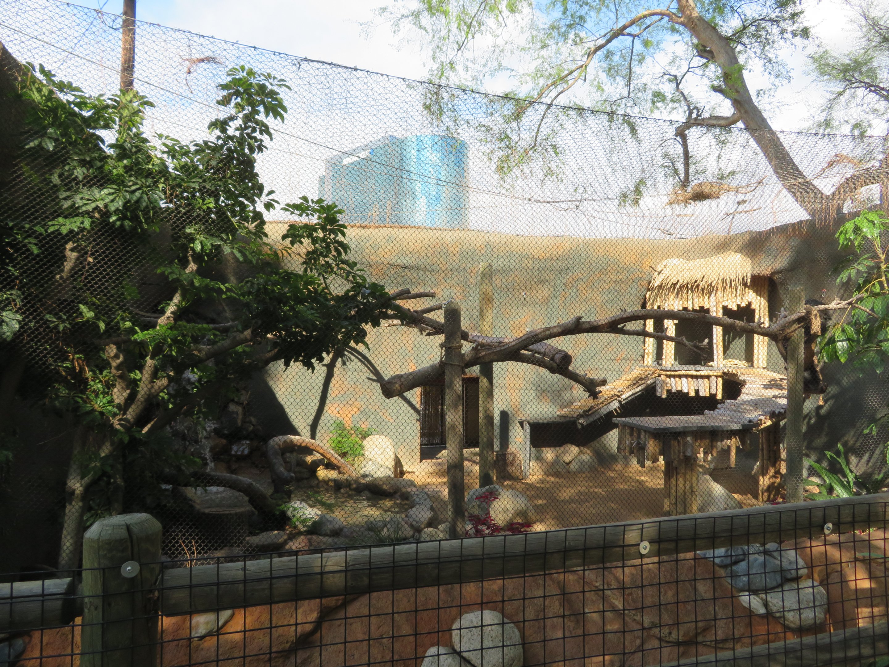 Binturong Exhibit