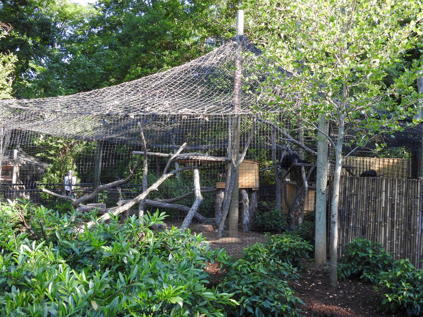 Binturong exhibit.