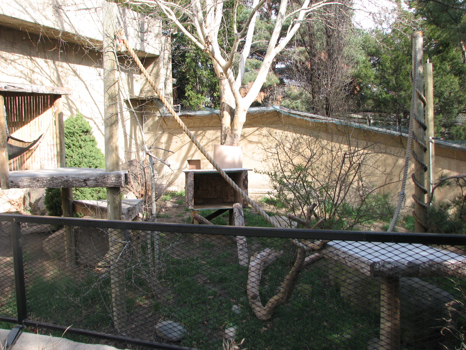 Binturong Exhibit