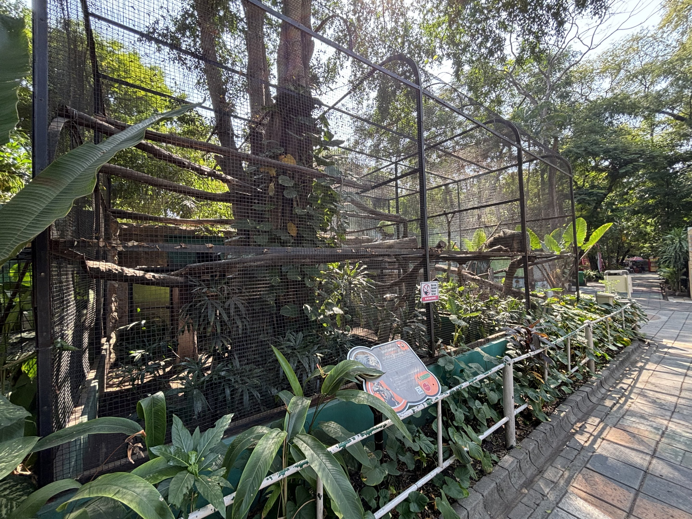 Binturong Exhibits #5 + #6