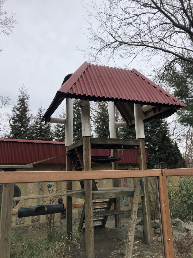 Binturong Habitat - Feb, 2020