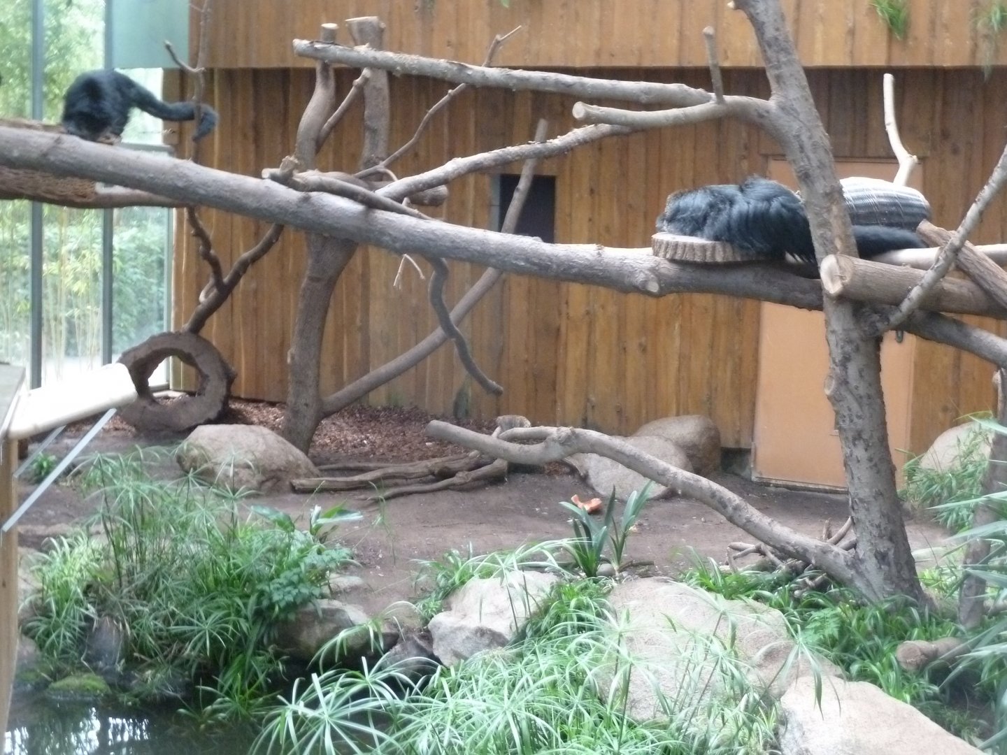 Binturong Haus