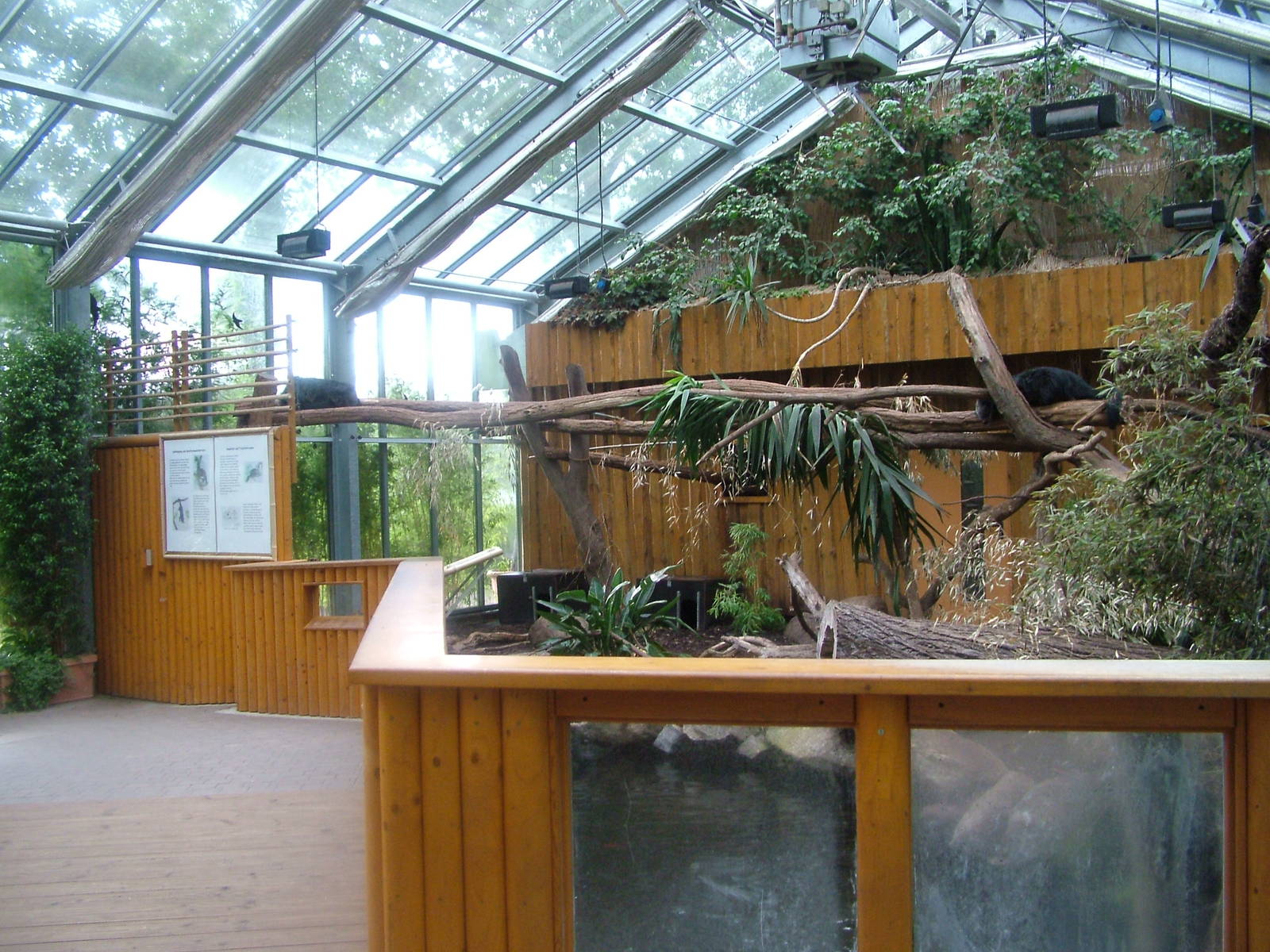 Binturong House at Darmstadt, 30/08/10