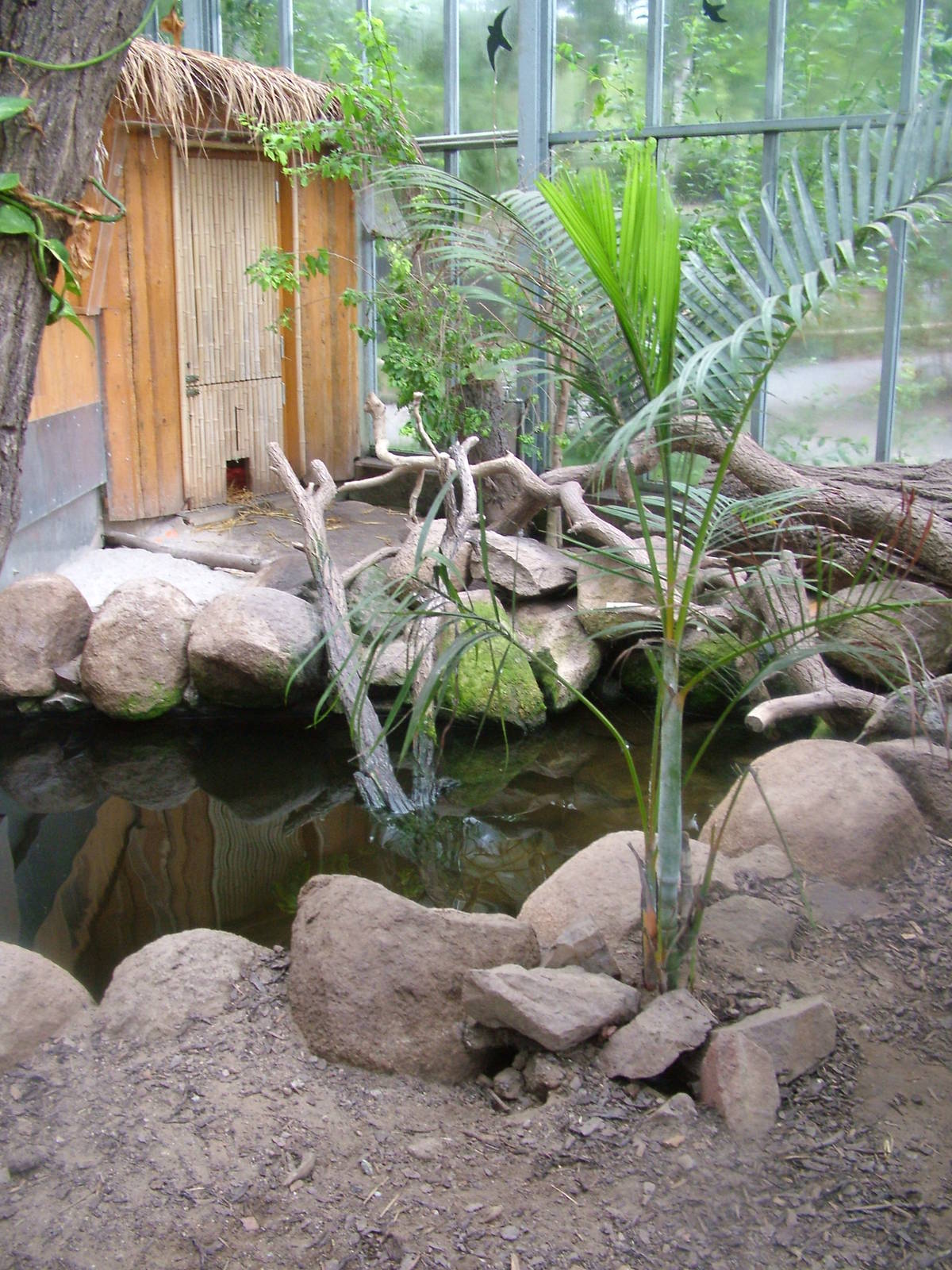 Binturong House at Darmstadt, 30/08/10