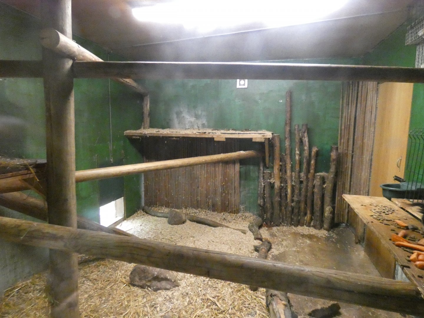 Binturong indoor enclosure