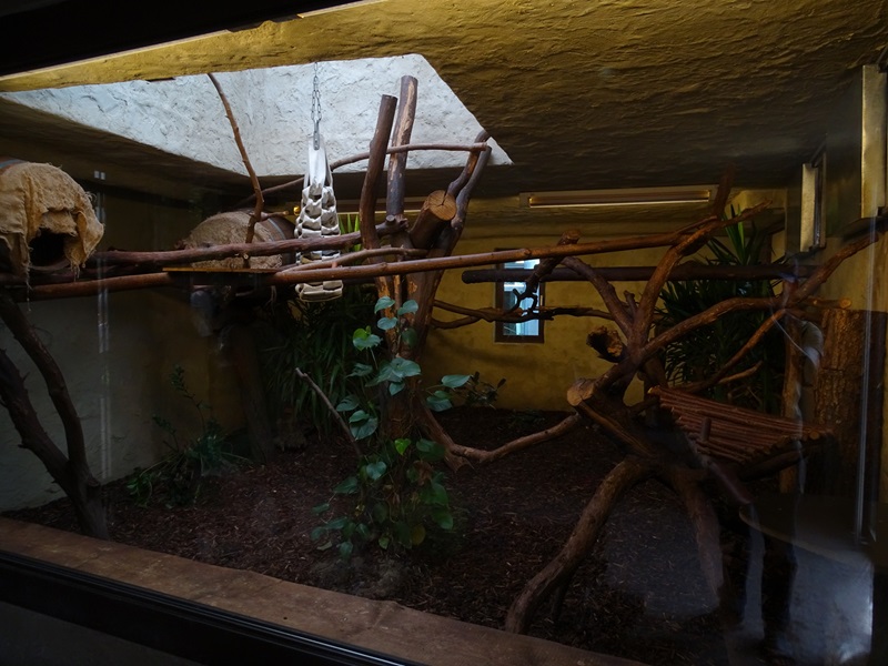 Binturong indoor enclosure